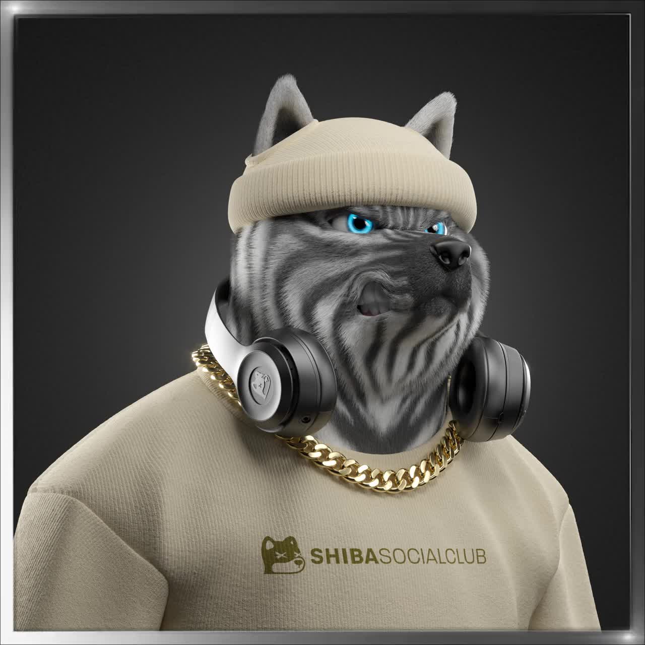 Shiba #6725
