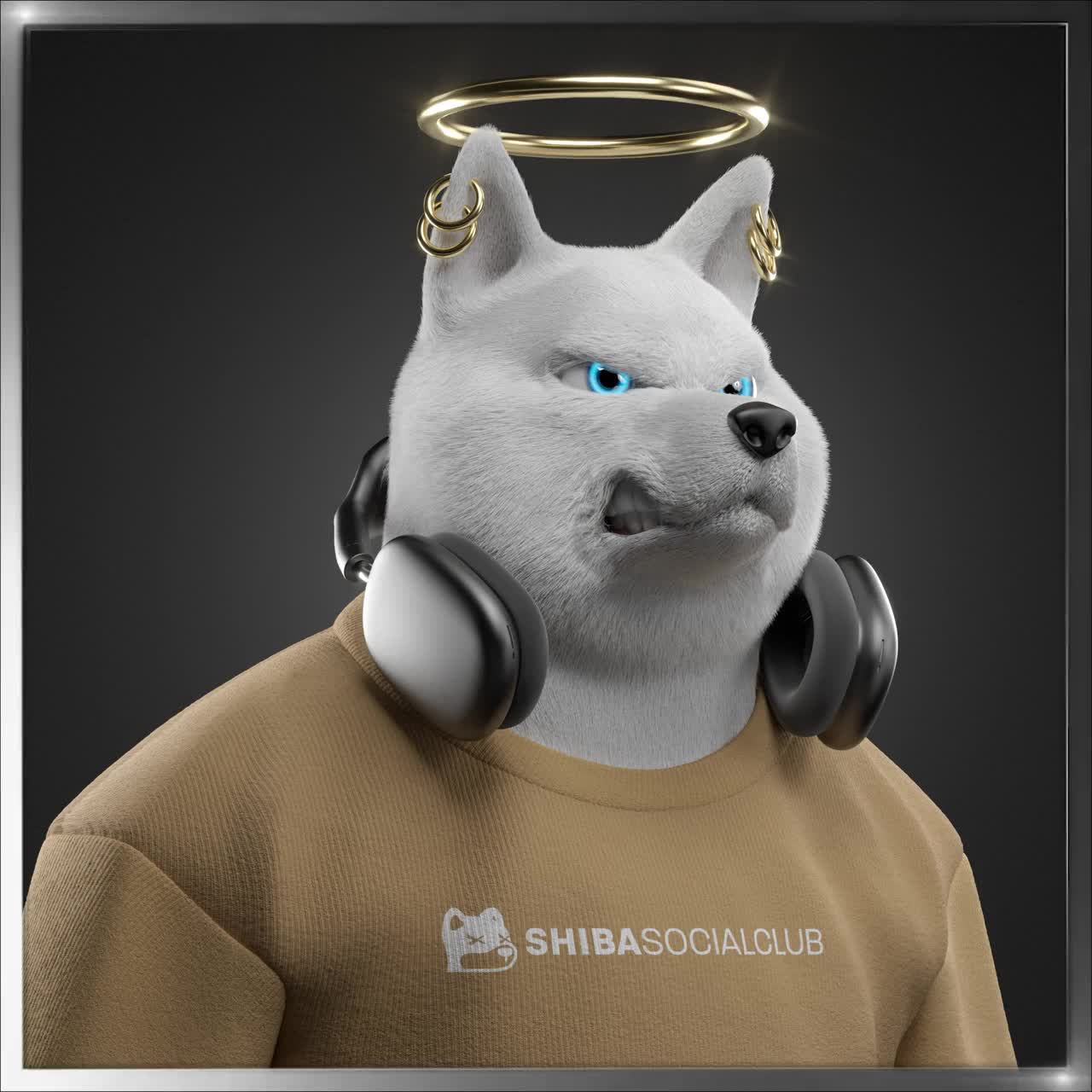 Shiba #7253