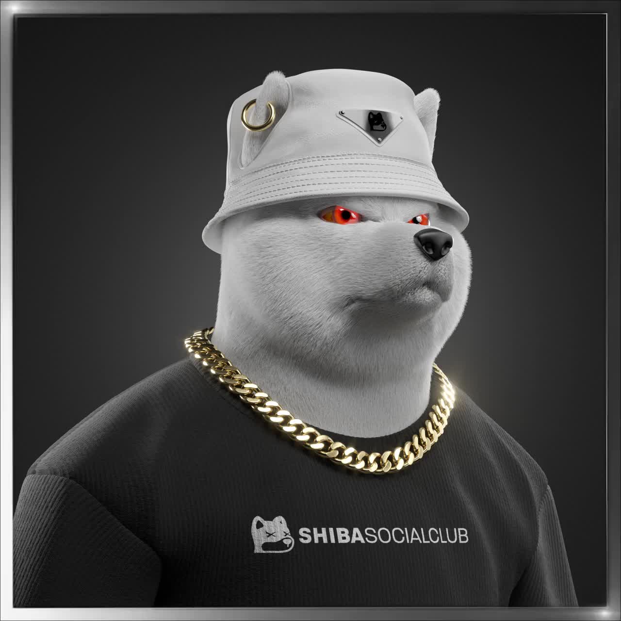 Shiba #7307
