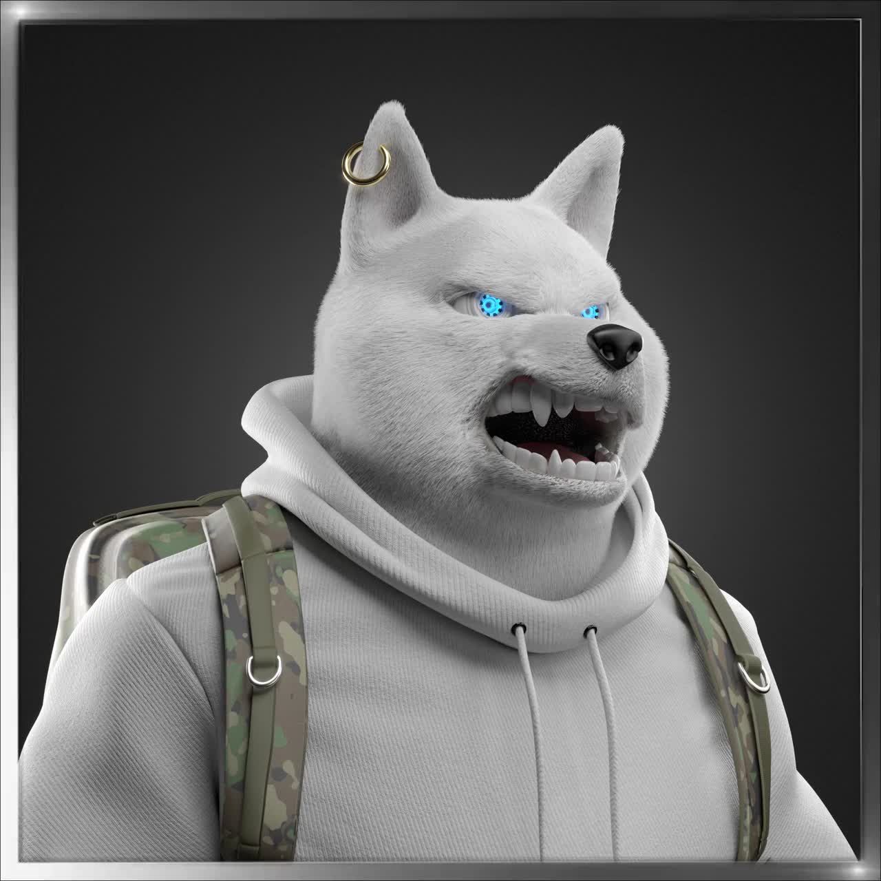 Shiba #7669