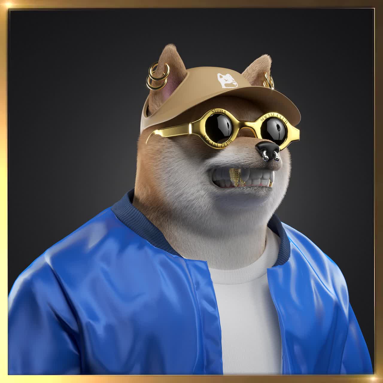 Shiba #12