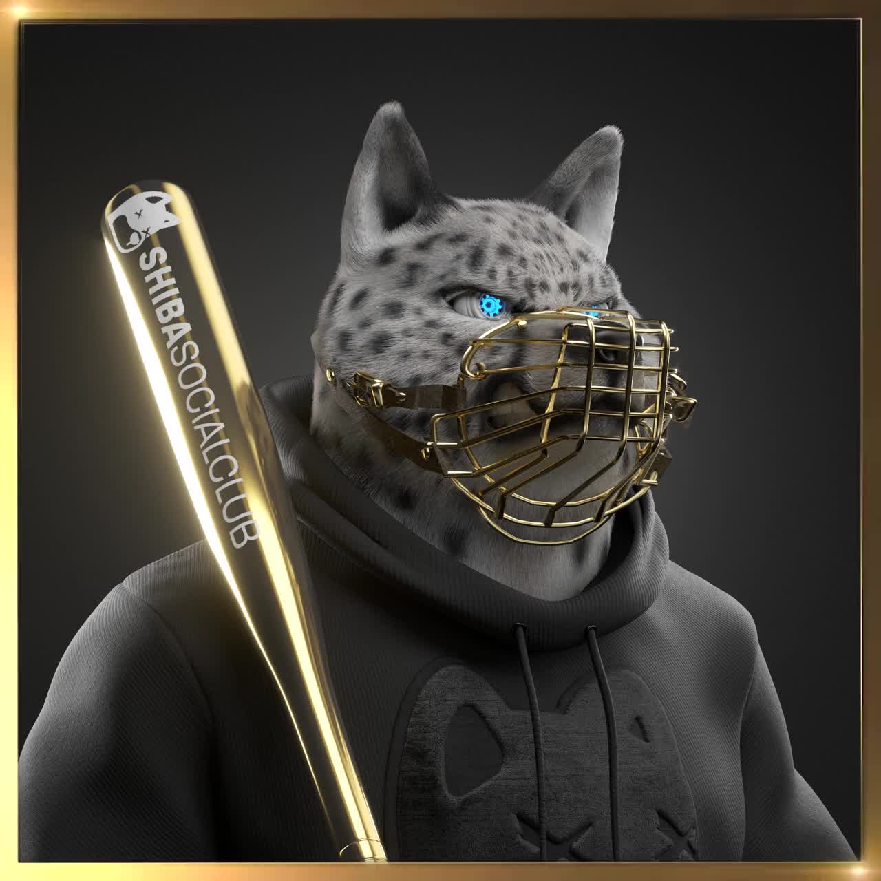 Shiba #52