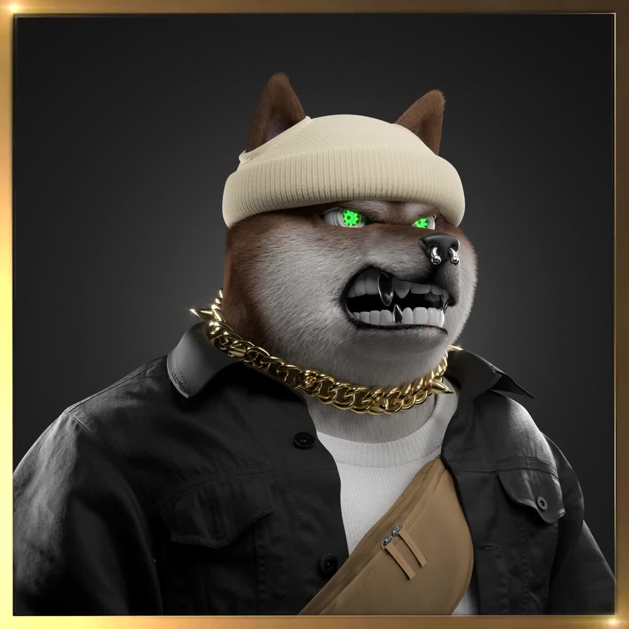 Shiba #64