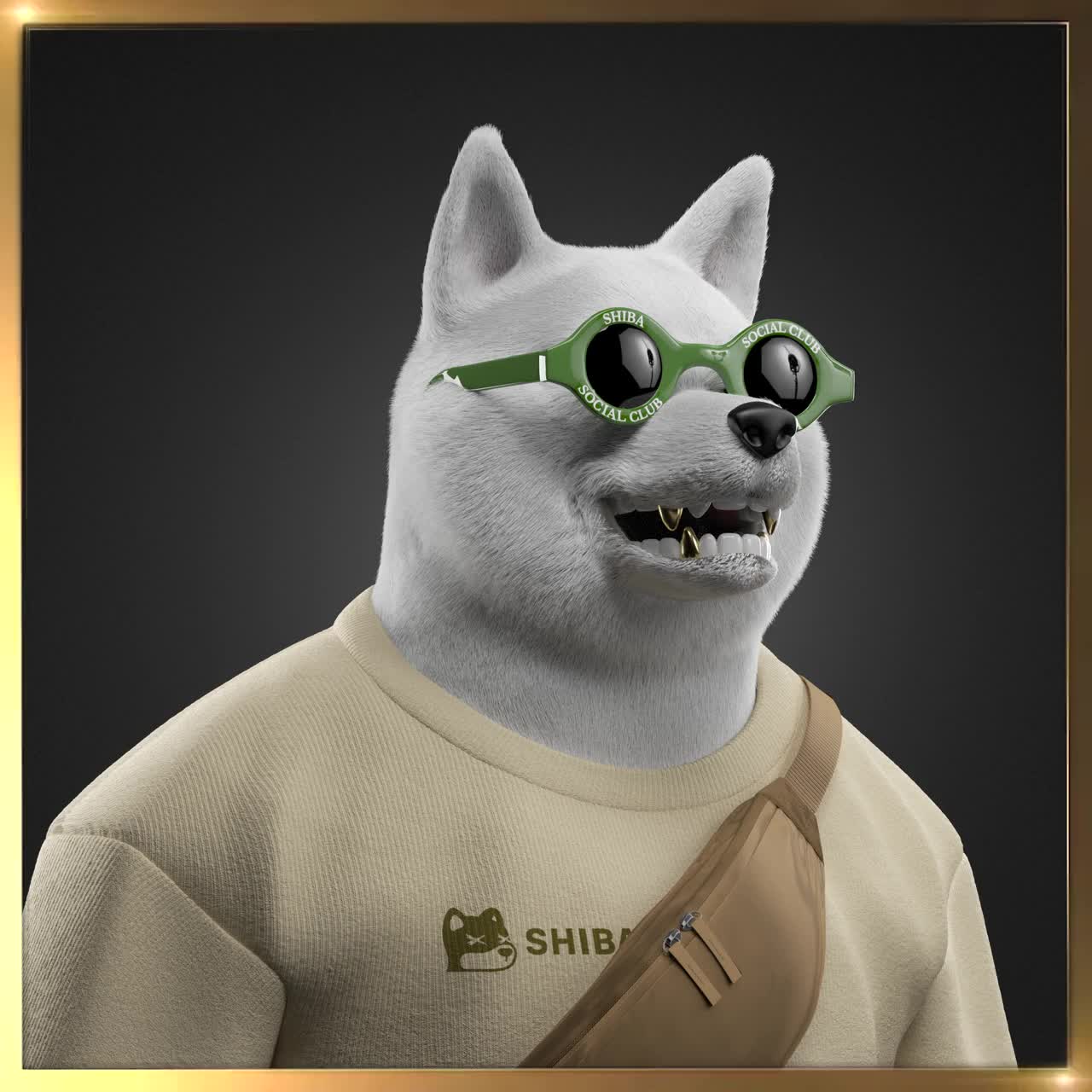 Shiba #148