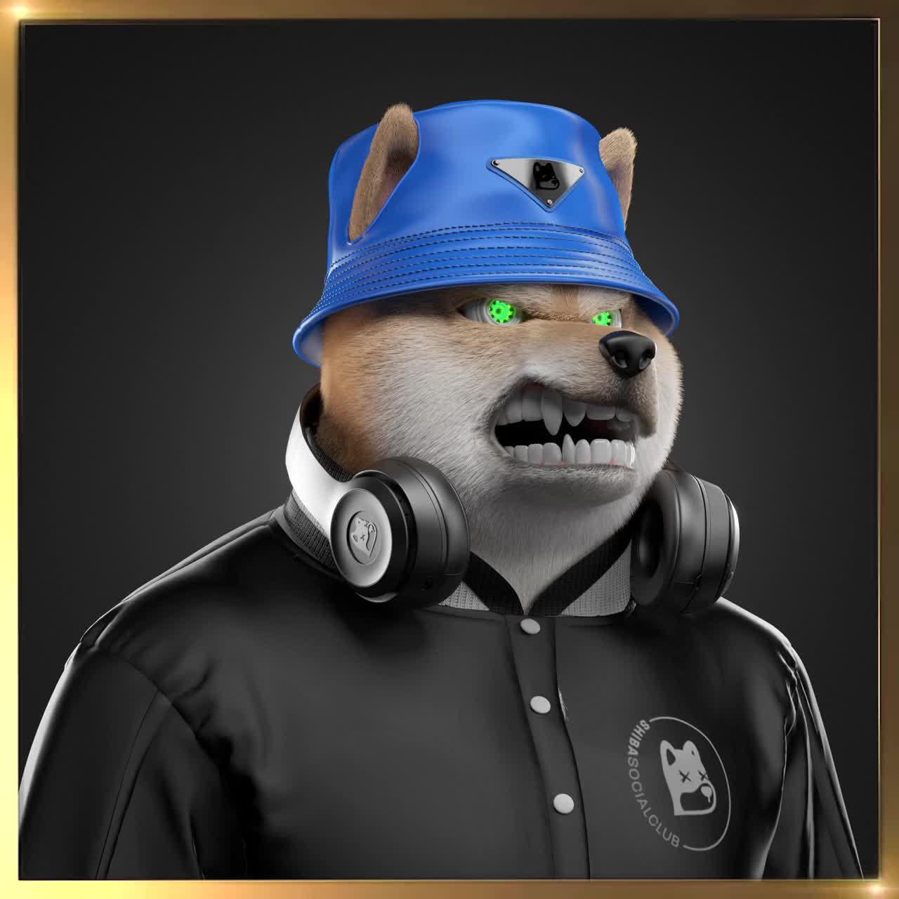 Shiba #203