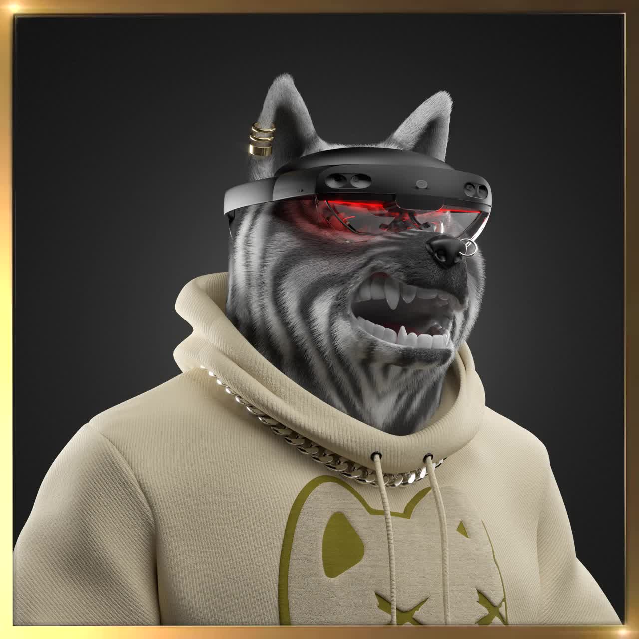 Shiba #231