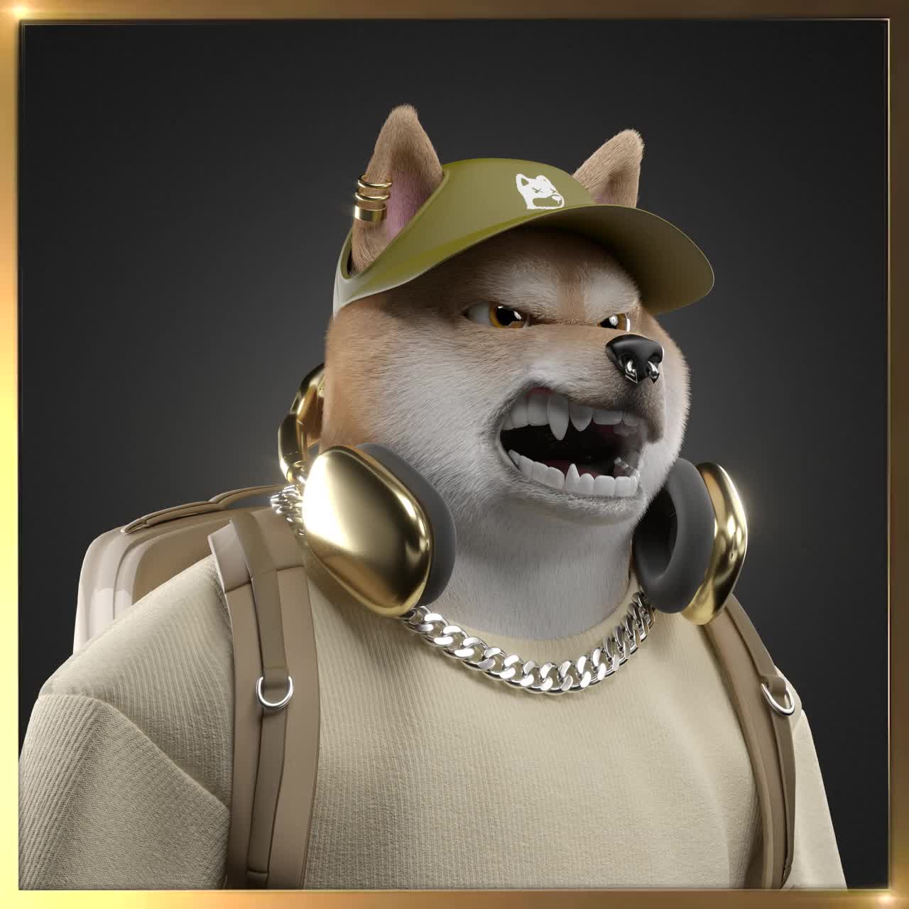 Shiba #240