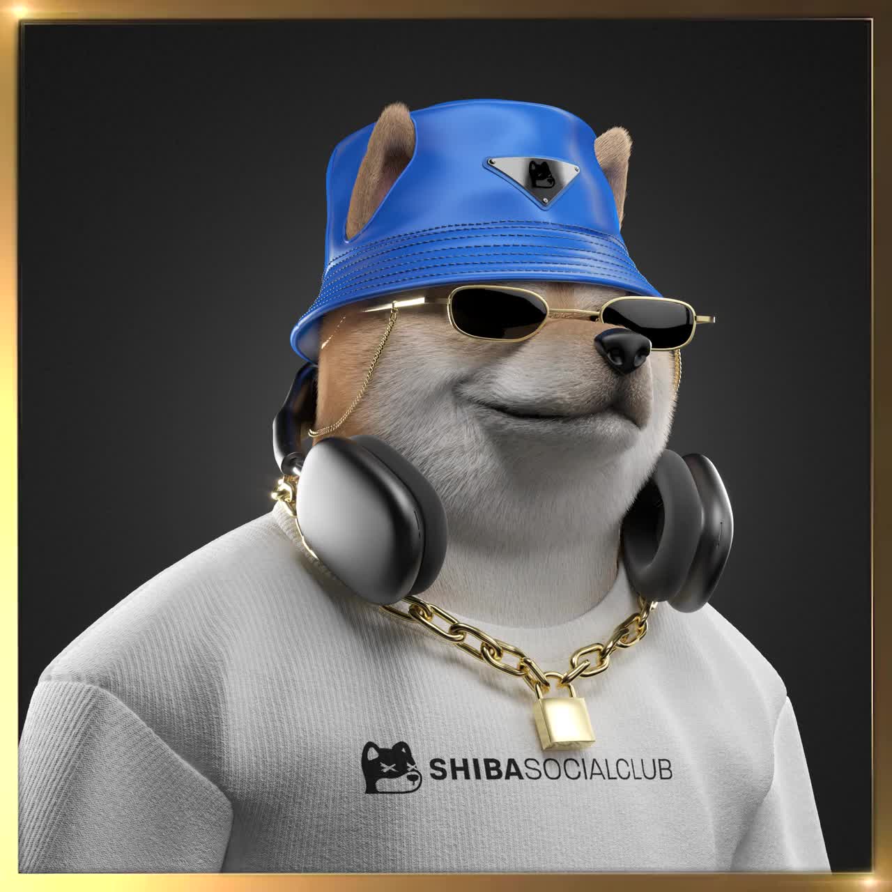 Shiba #252
