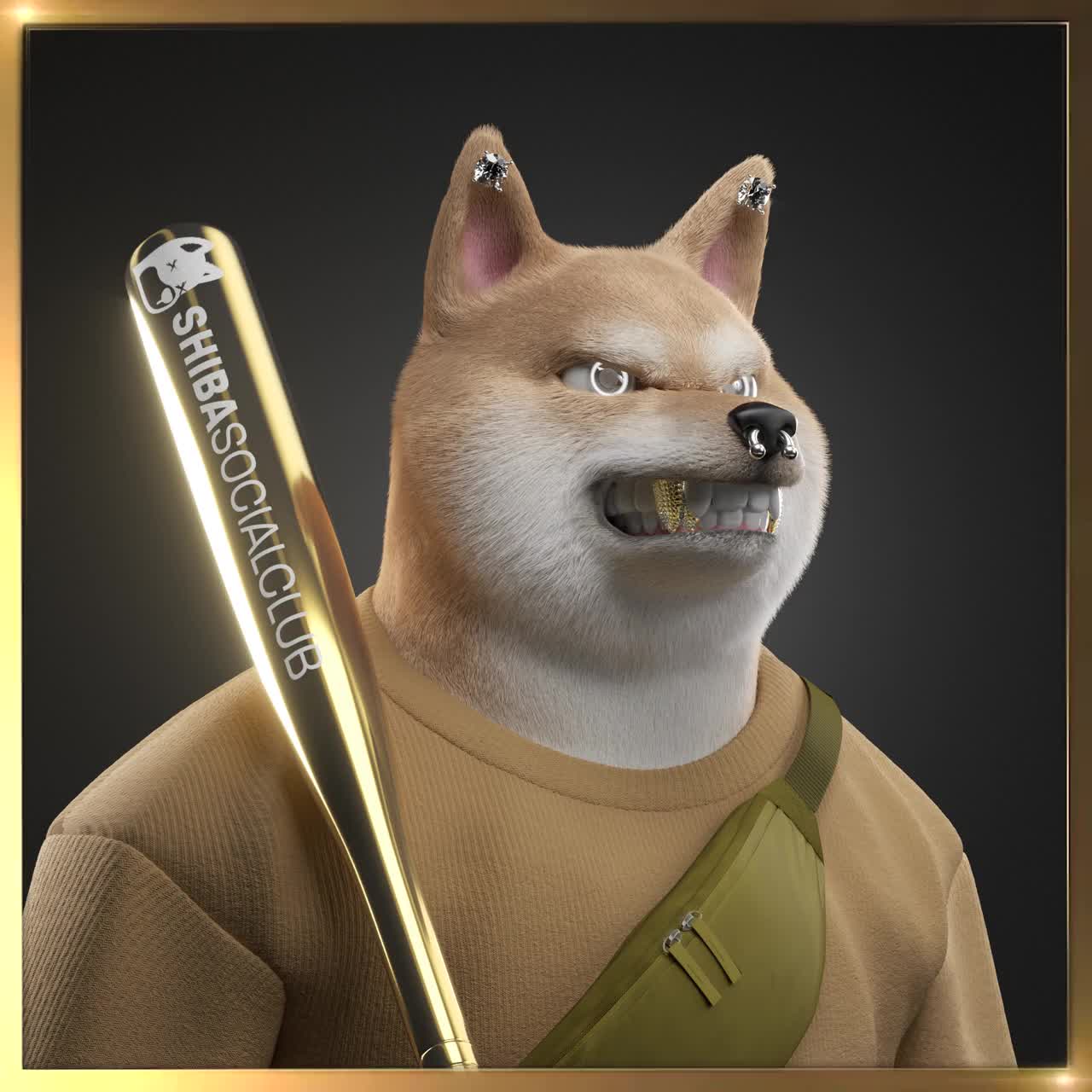 Shiba #302