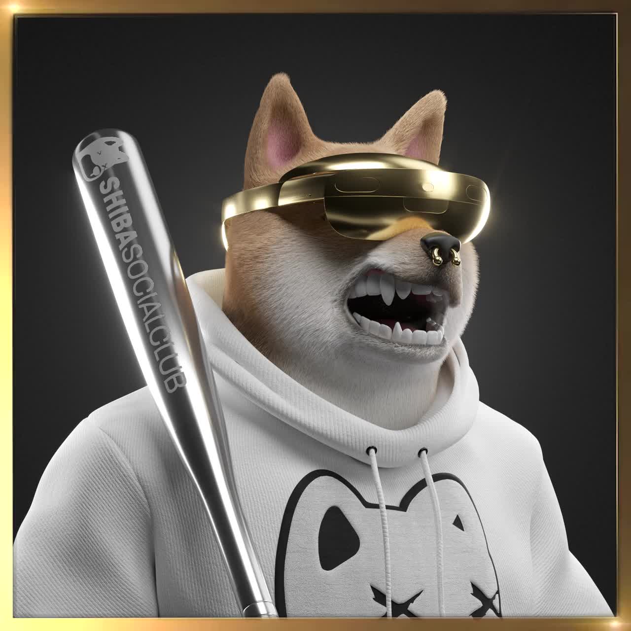 Shiba #307