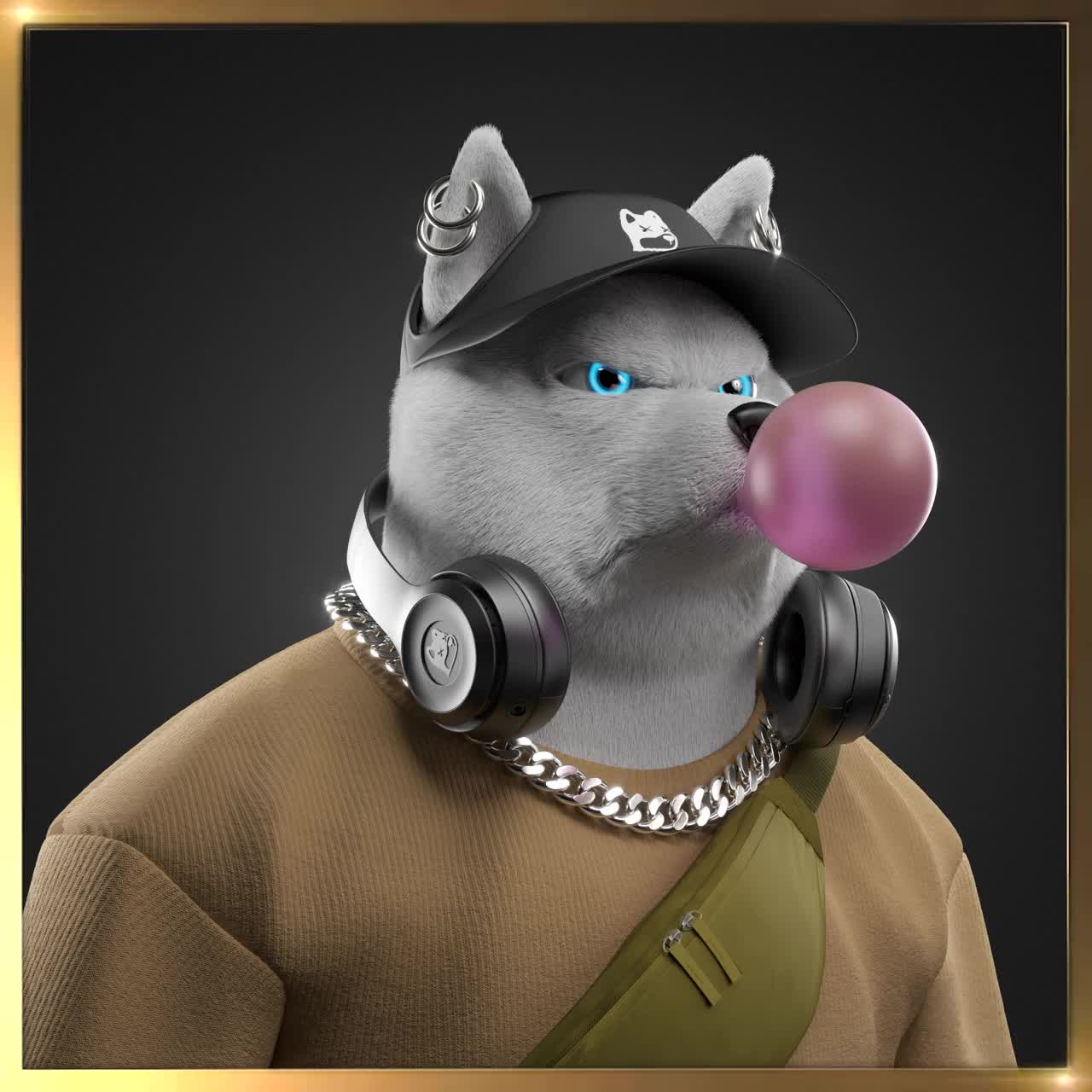 Shiba #311