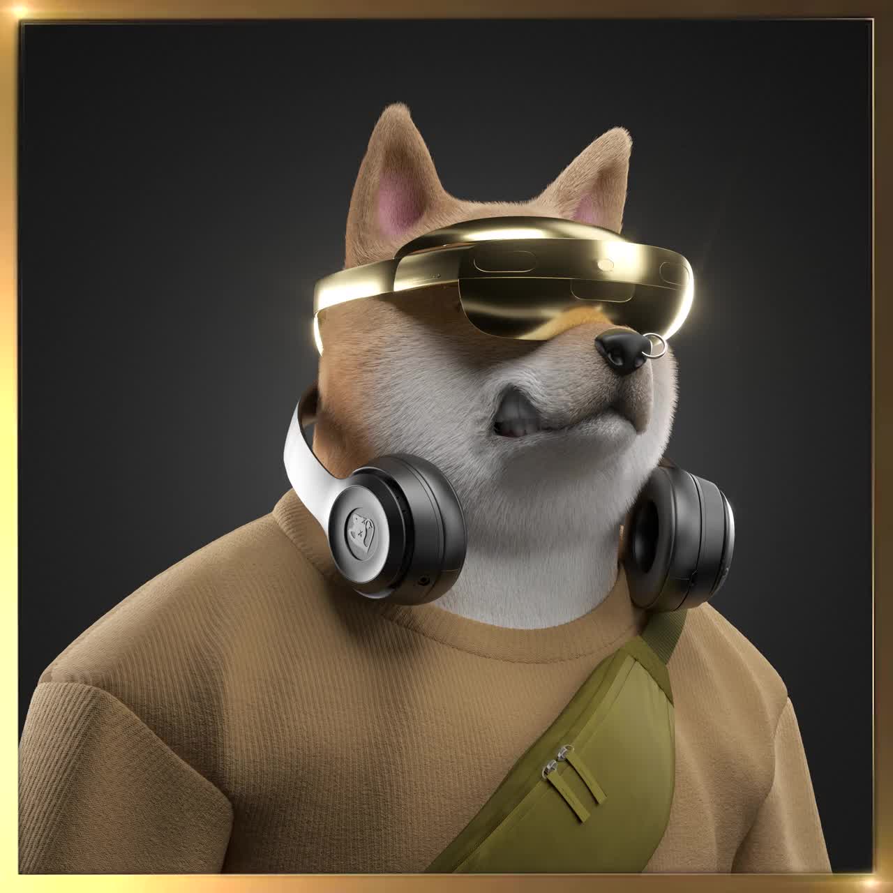 Shiba #326