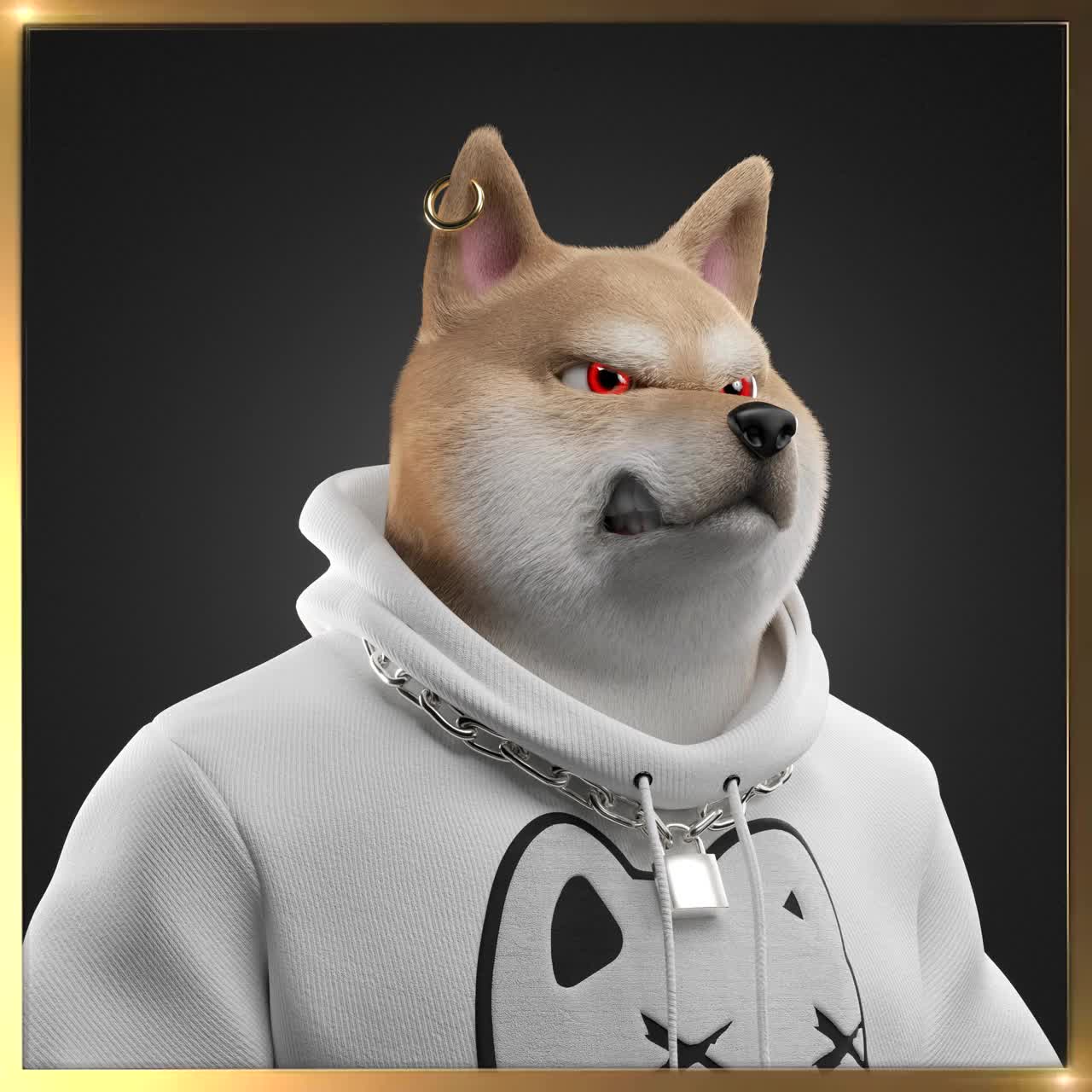 Shiba #334