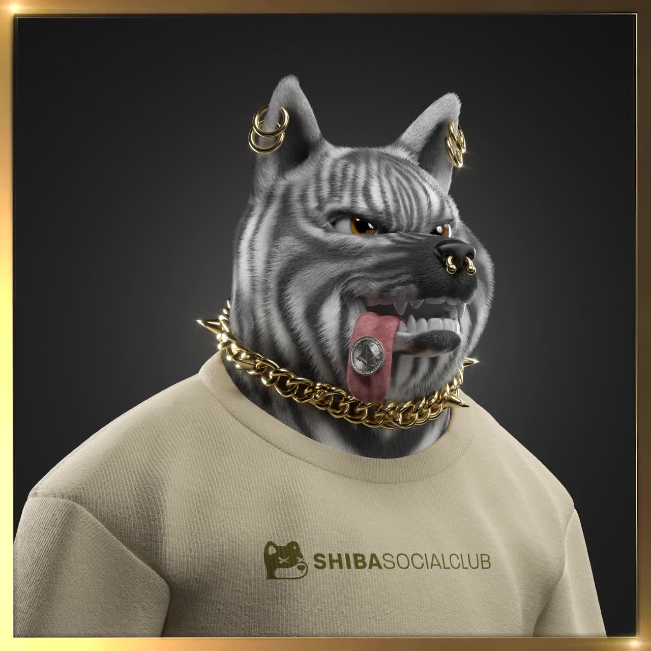 Shiba #363