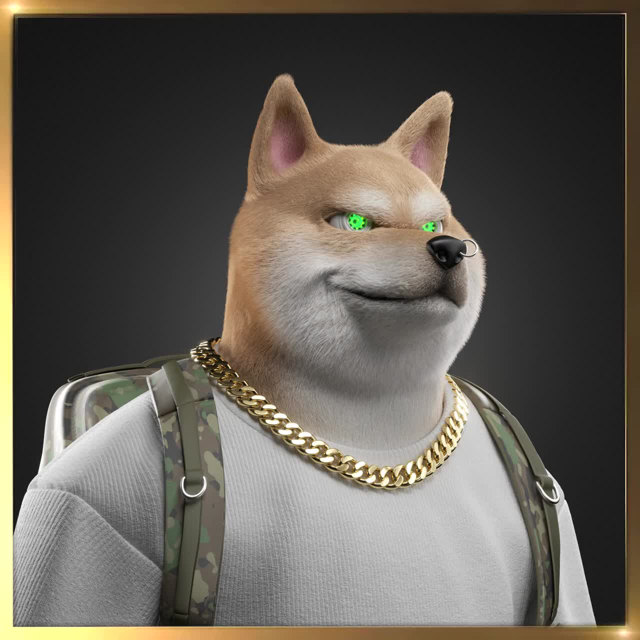 Shiba #402