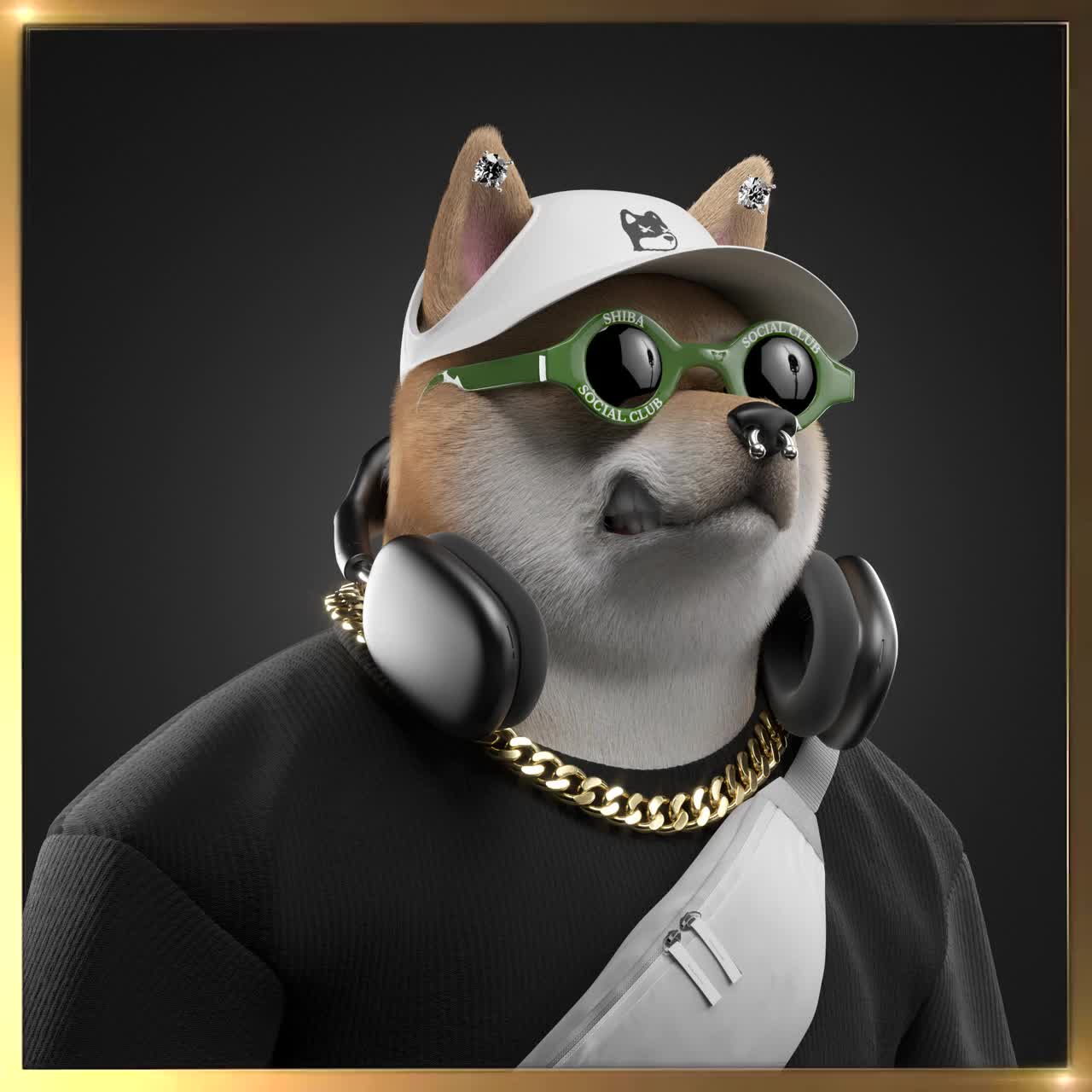Shiba #420