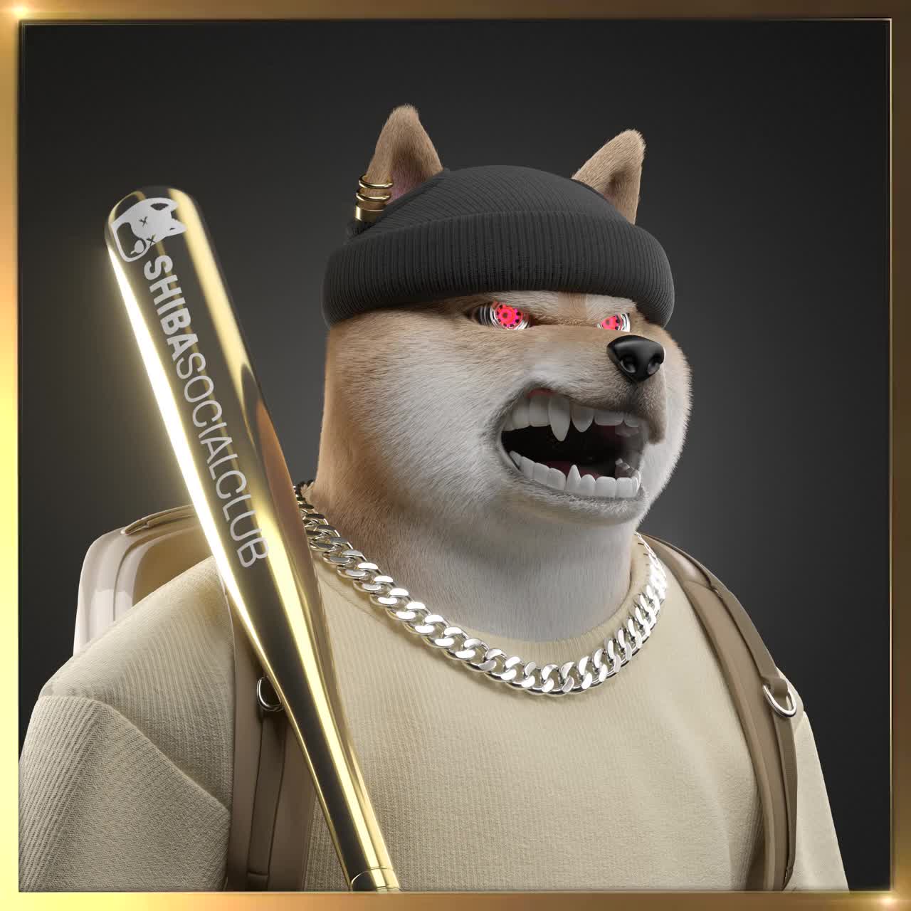 Shiba #429