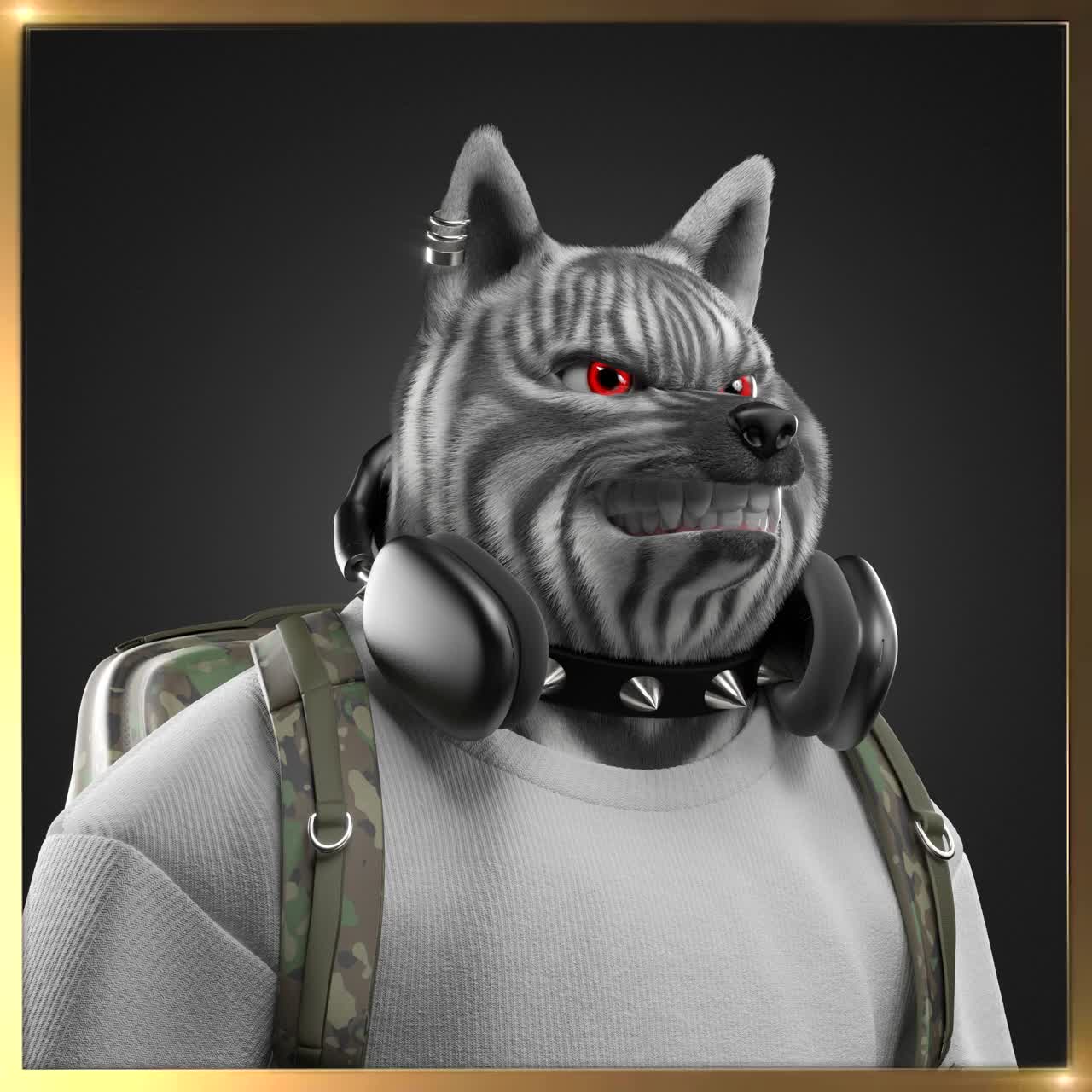 Shiba #443