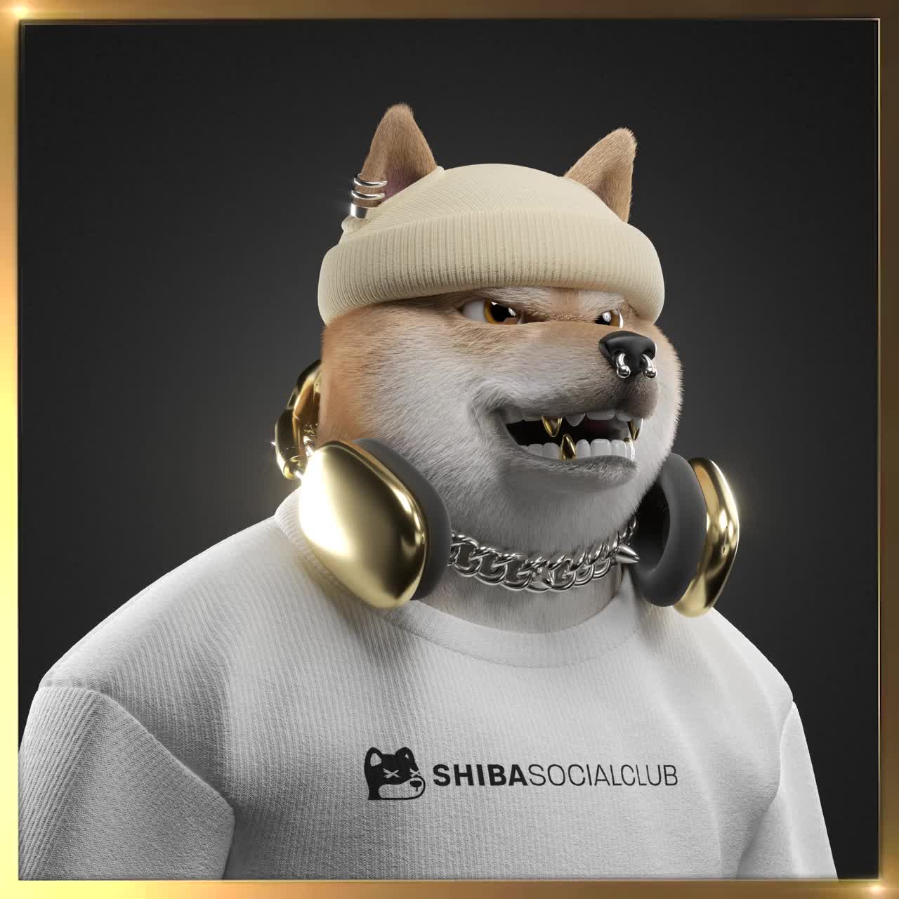 Shiba #447