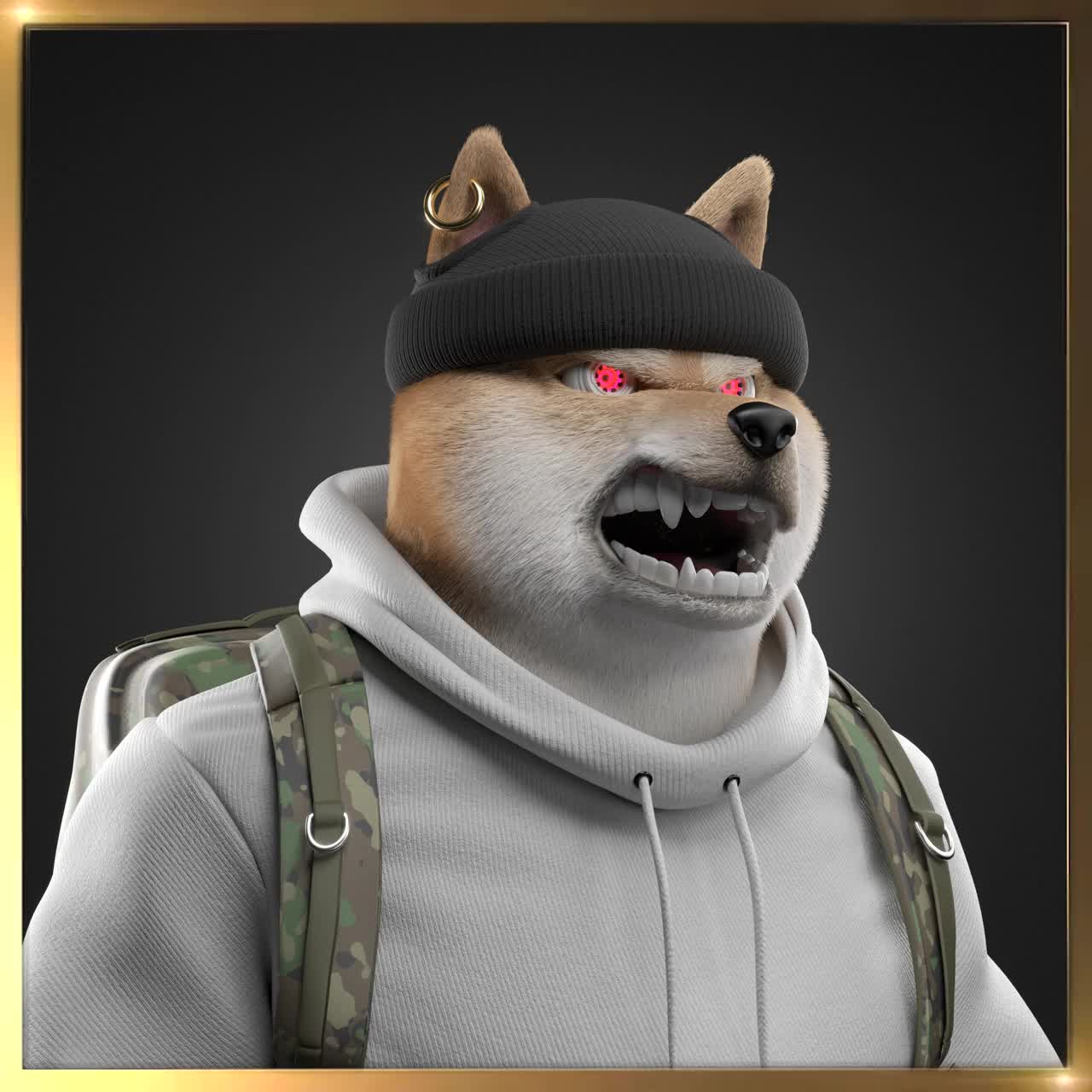 Shiba #496