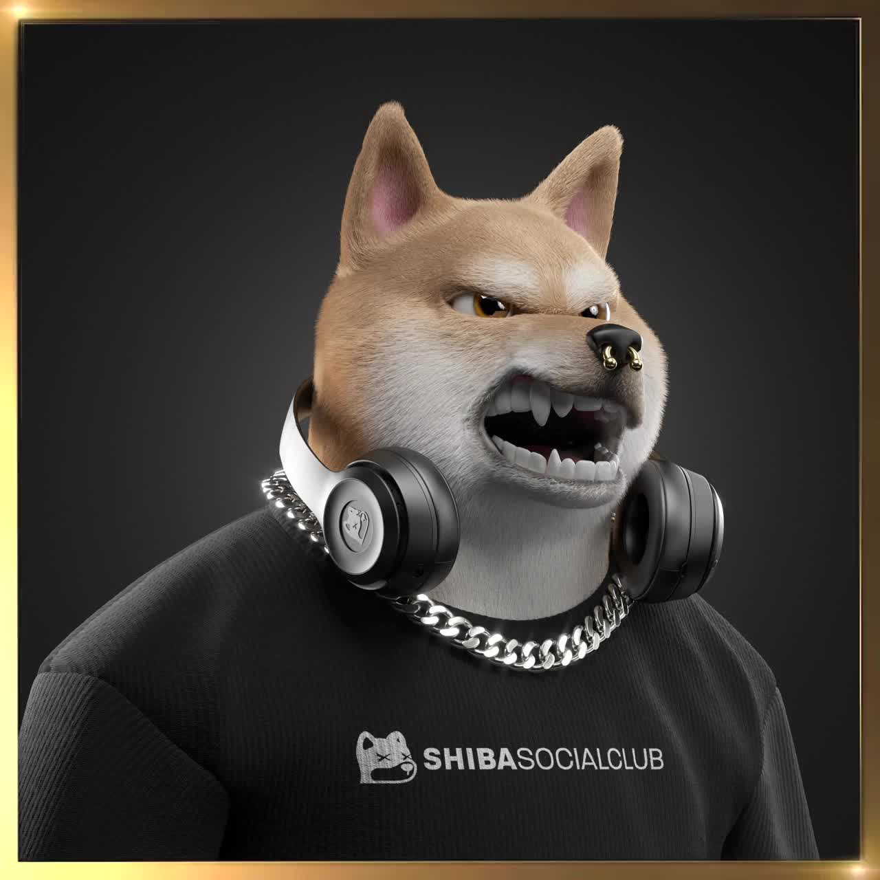 Shiba #511