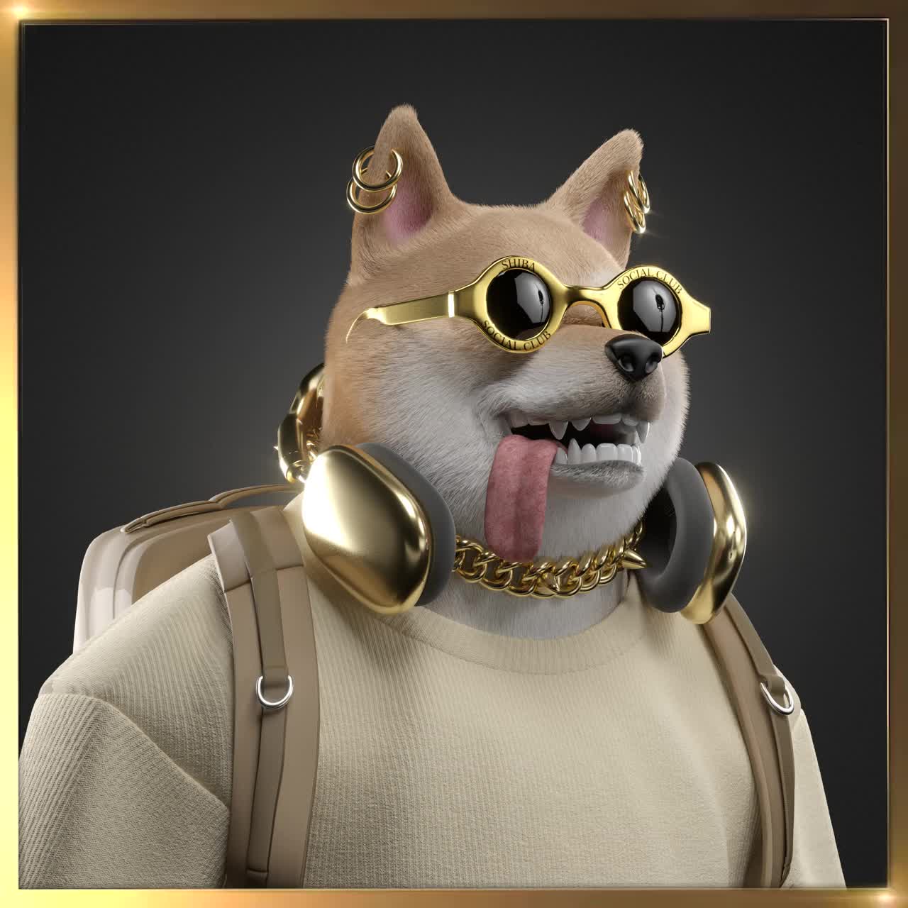 Shiba #529