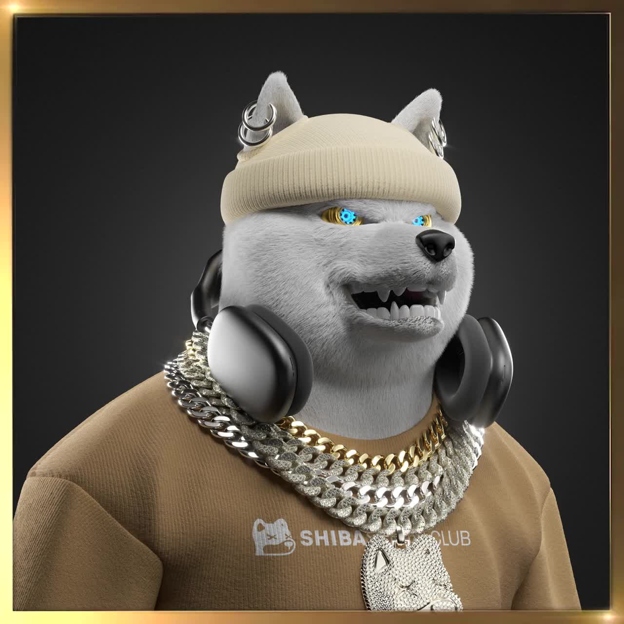Shiba #604