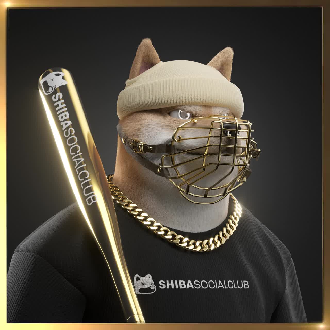 Shiba #611