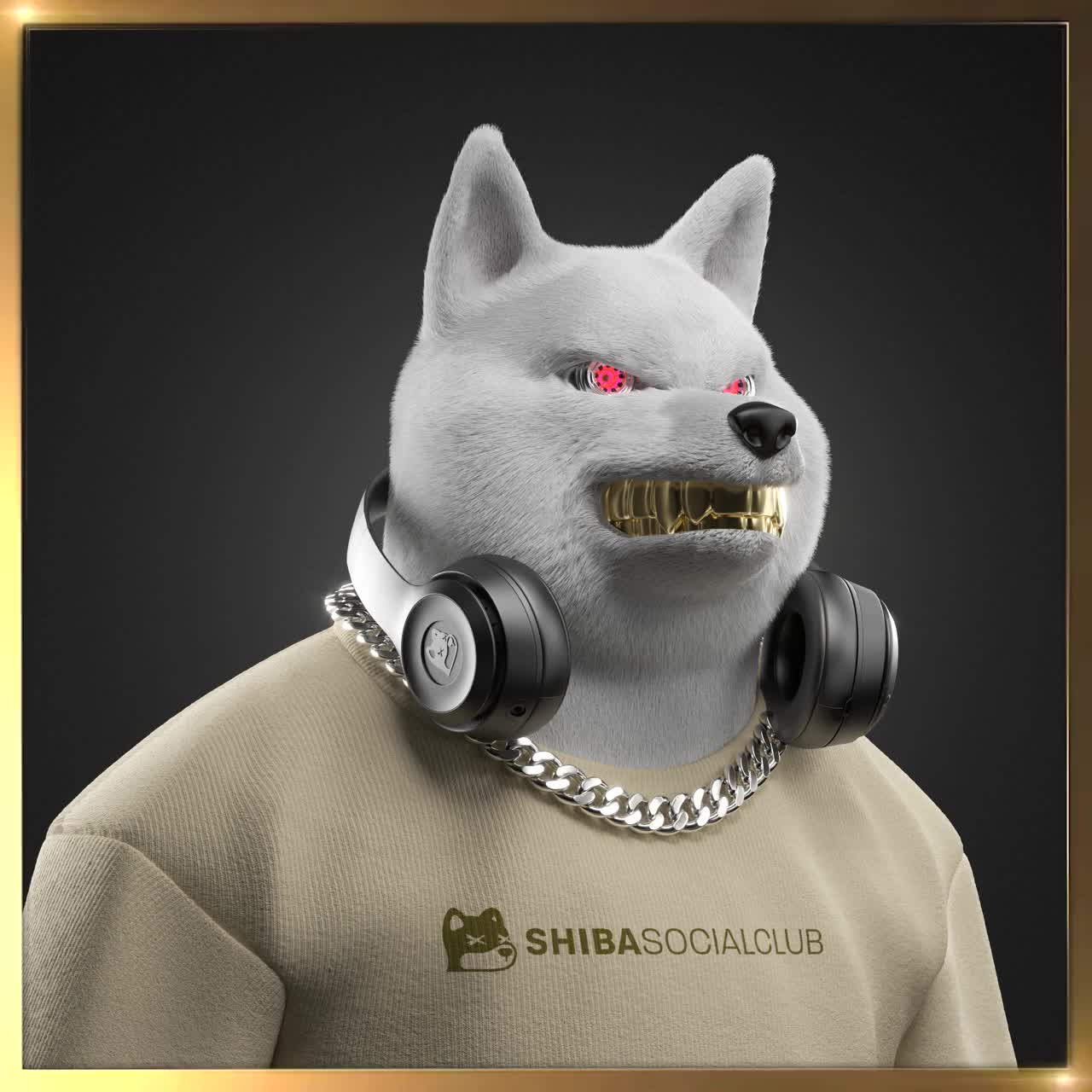Shiba #634