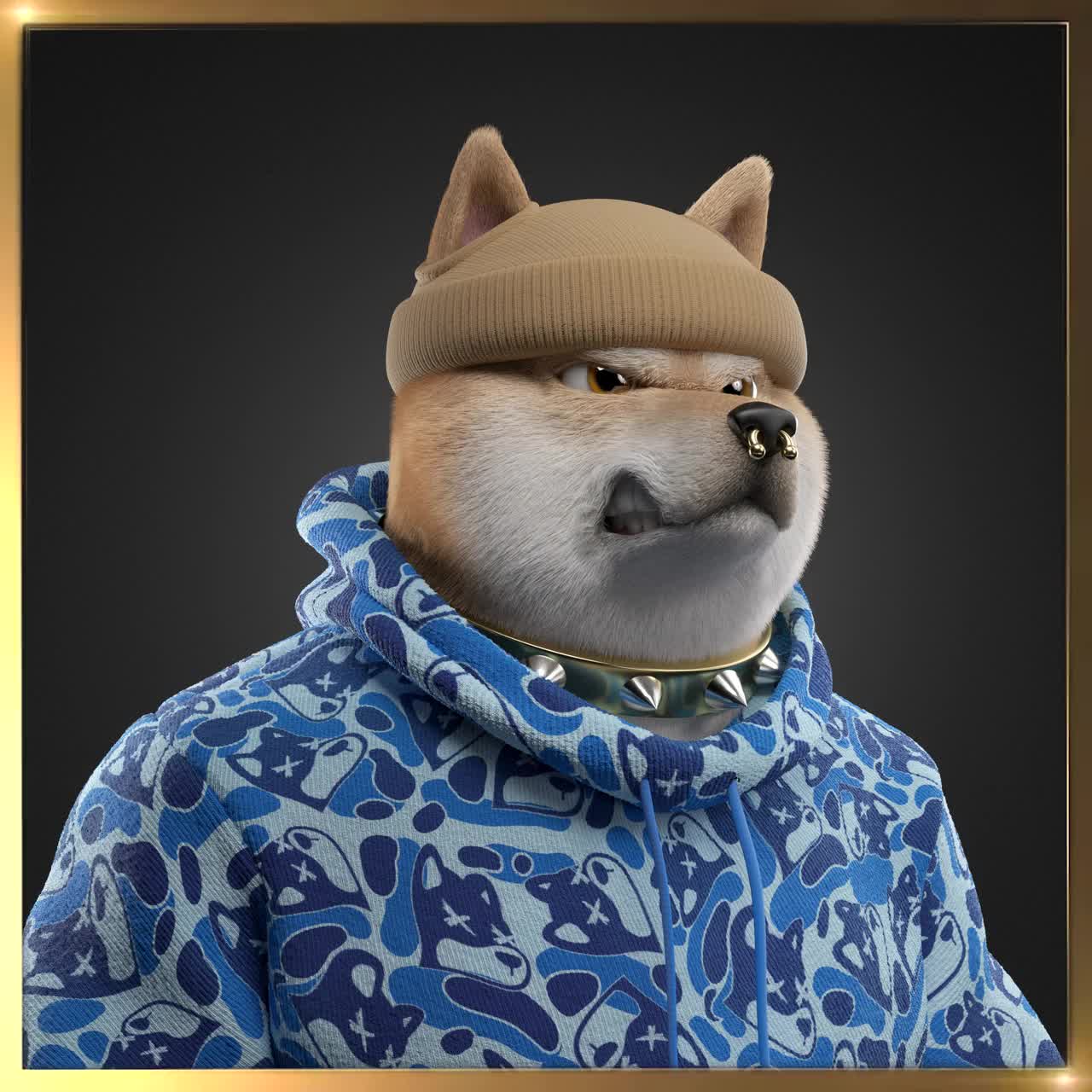Shiba #675