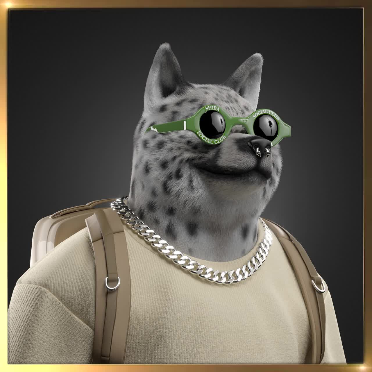 Shiba #713