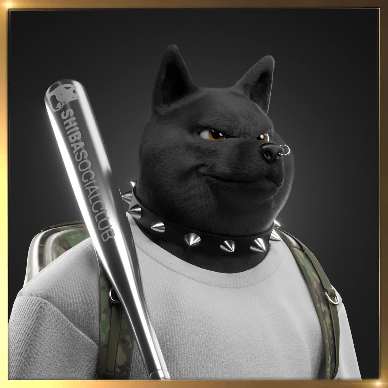 Shiba #762