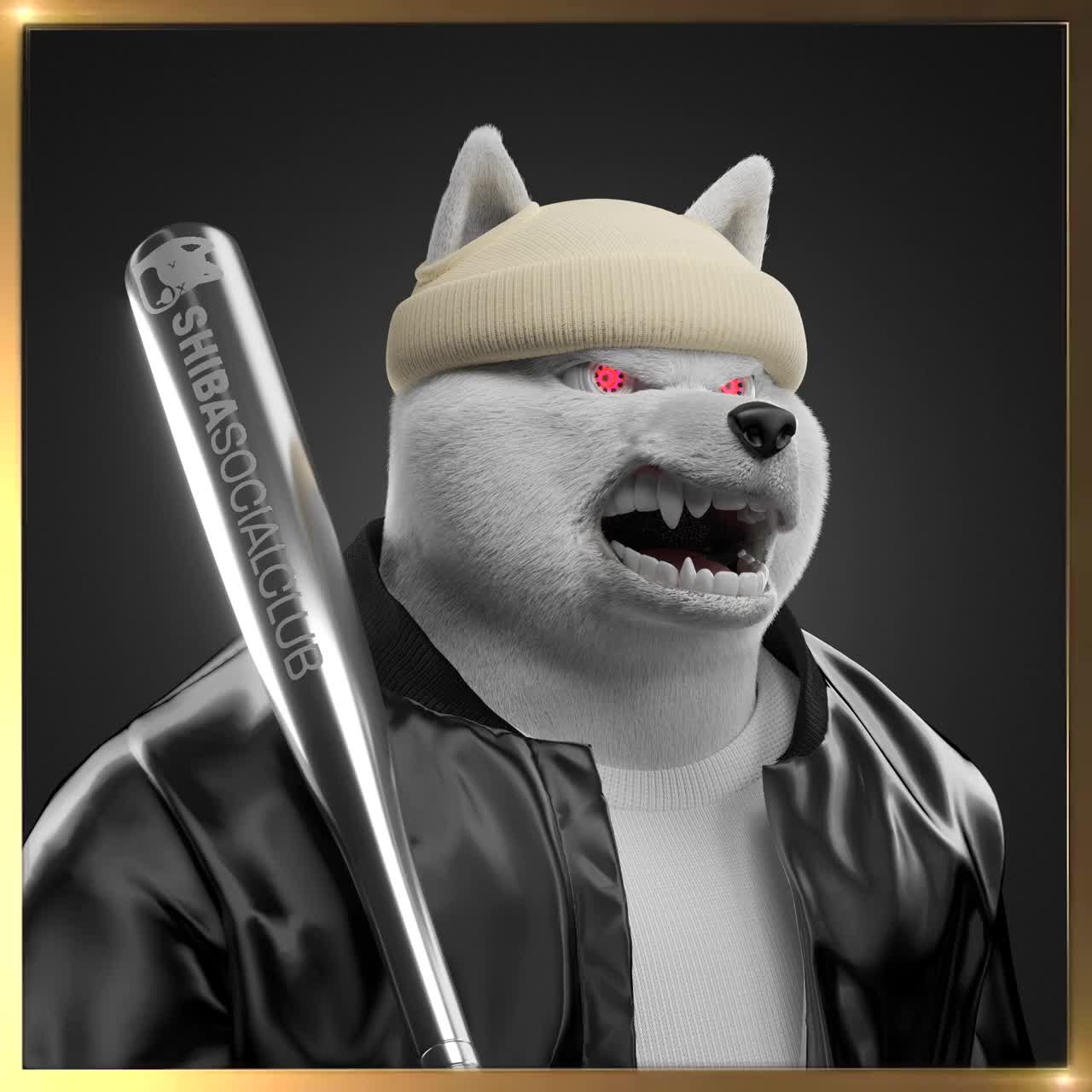 Shiba #791