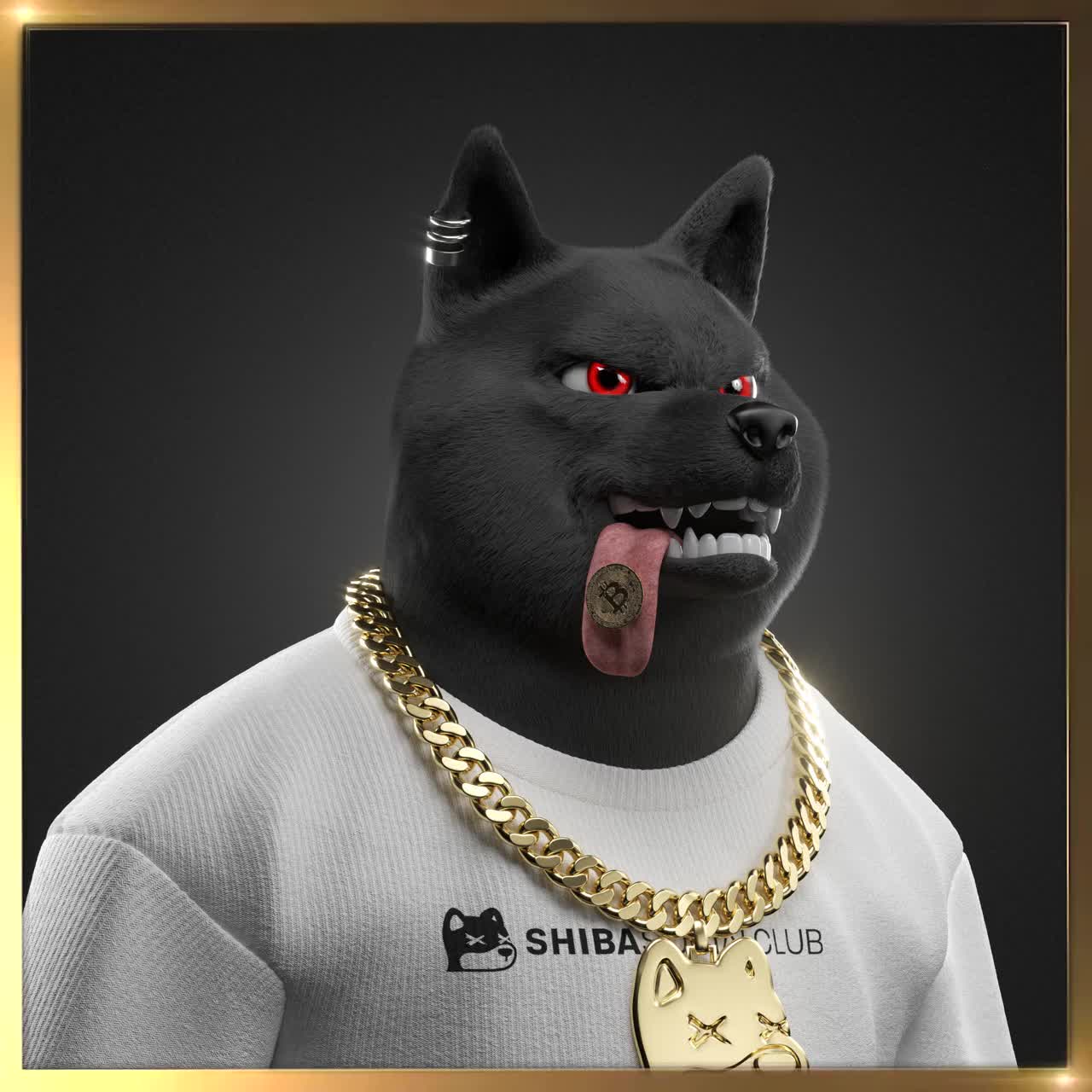 Shiba #812