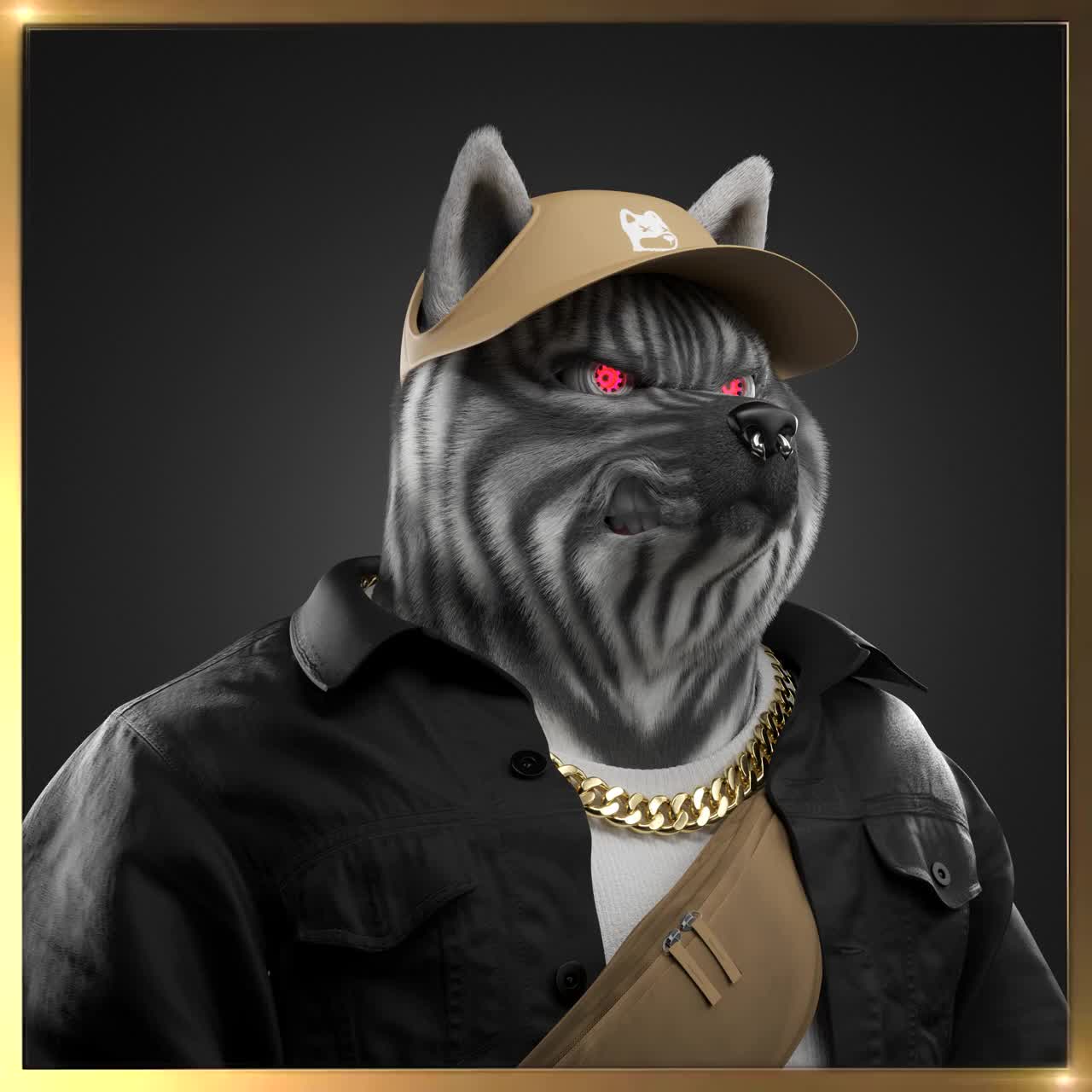Shiba #844
