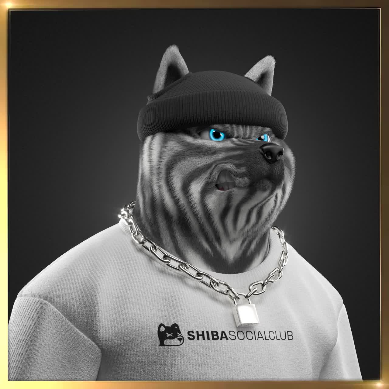 Shiba #874
