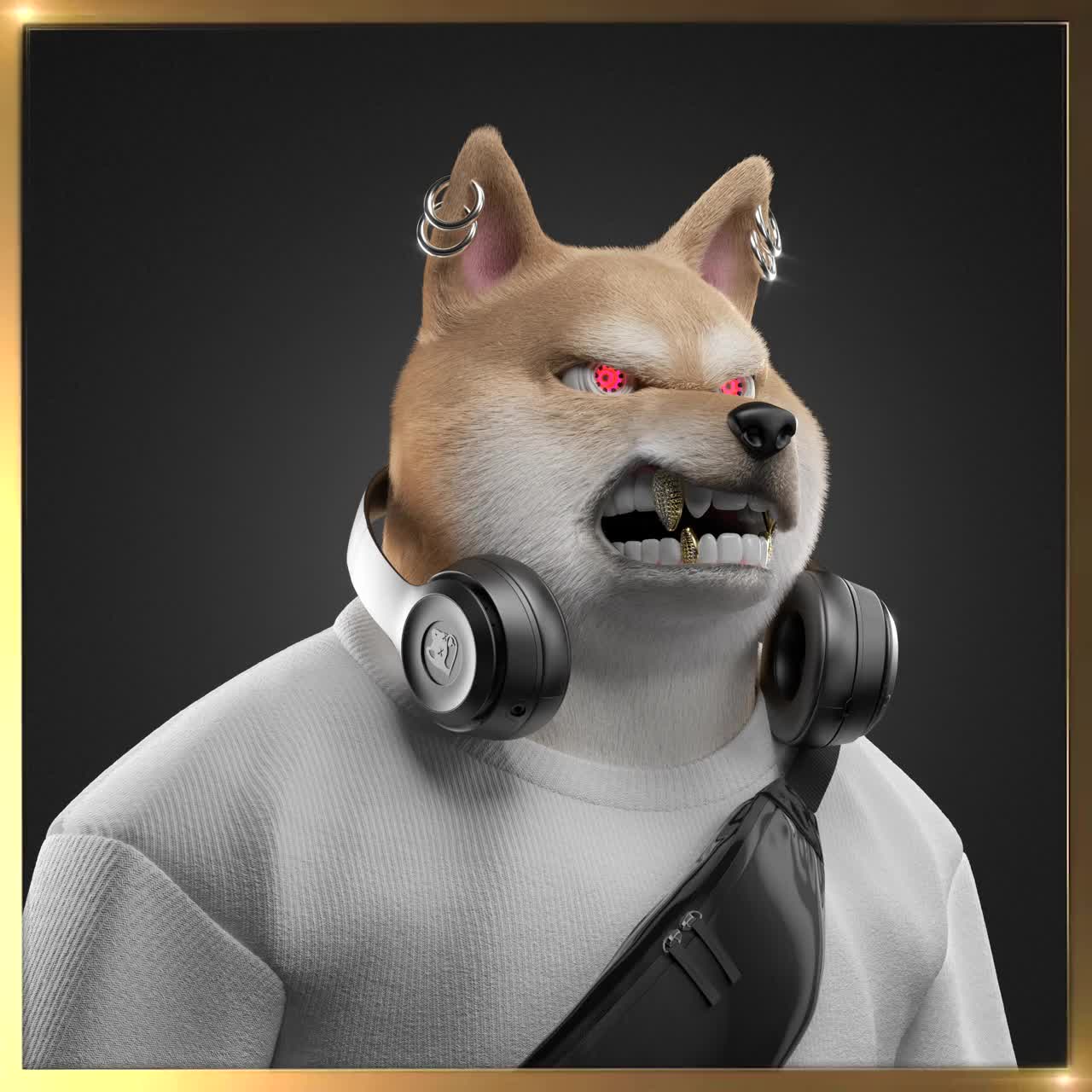 Shiba #875