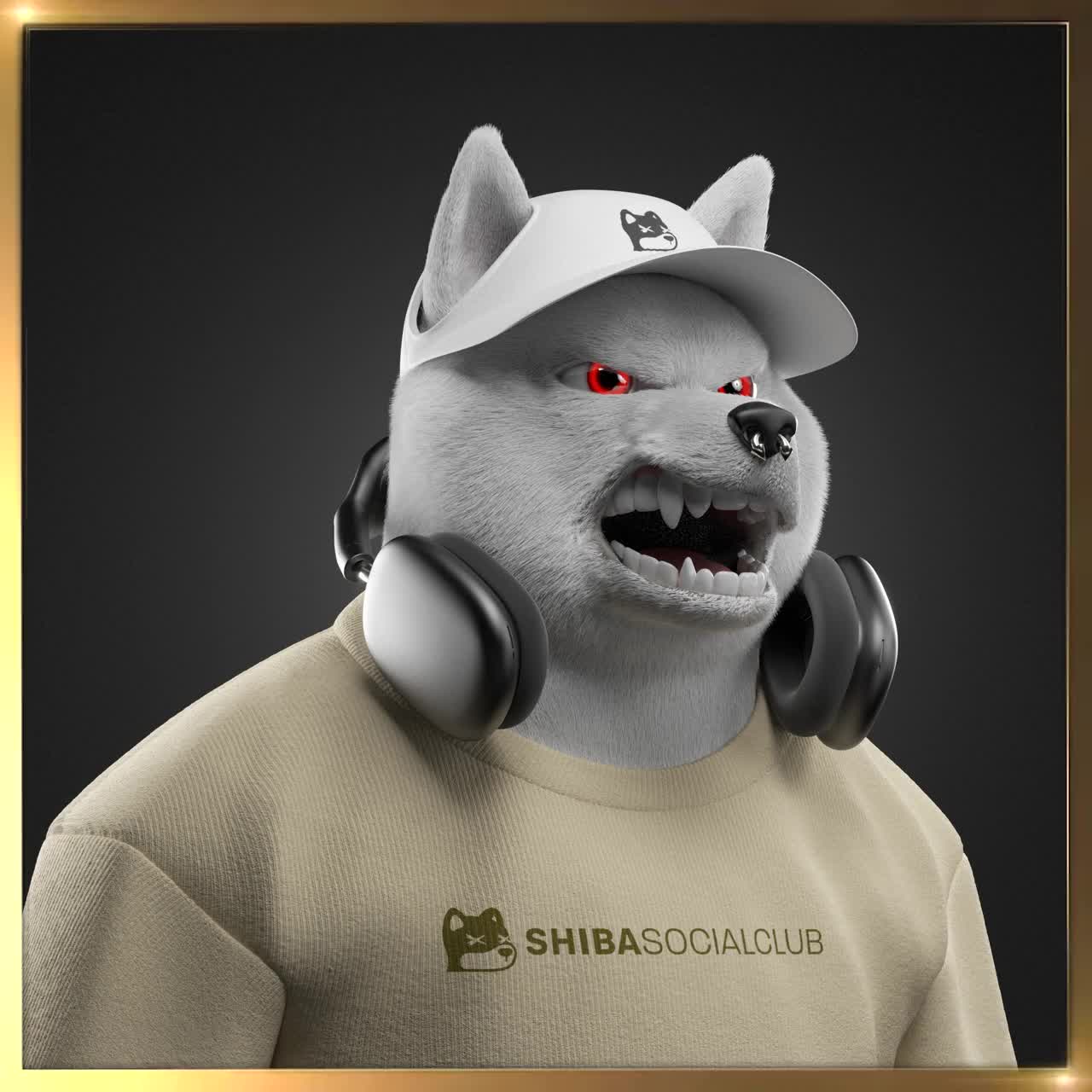 Shiba #901