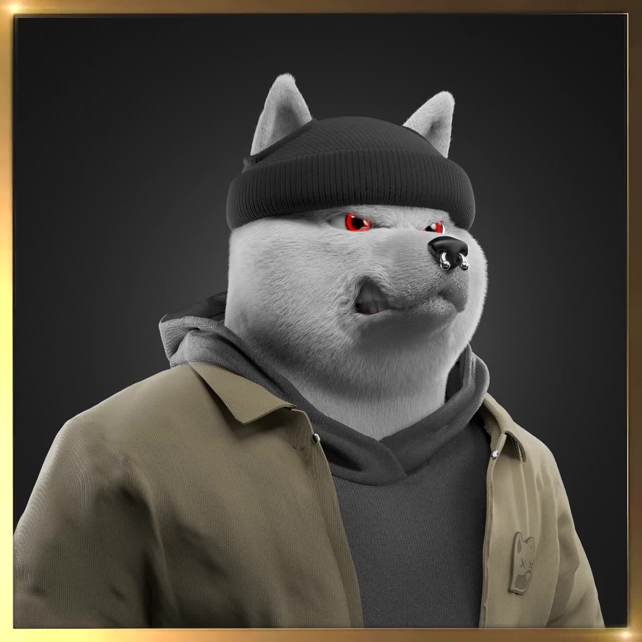 Shiba #997