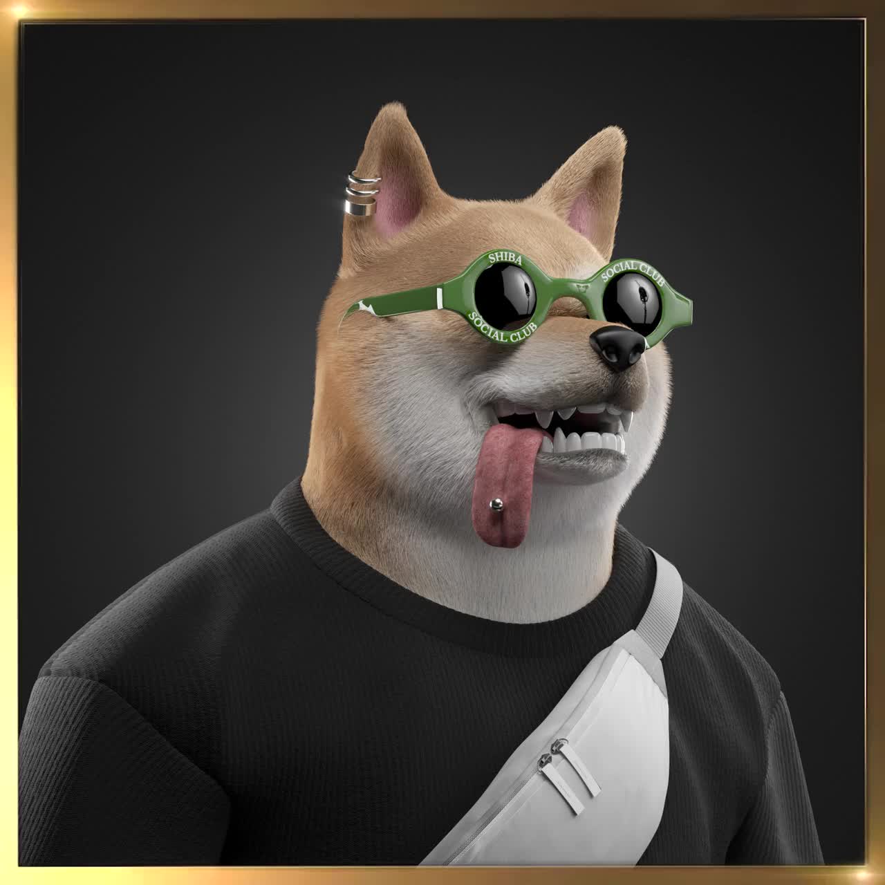 Shiba #1011