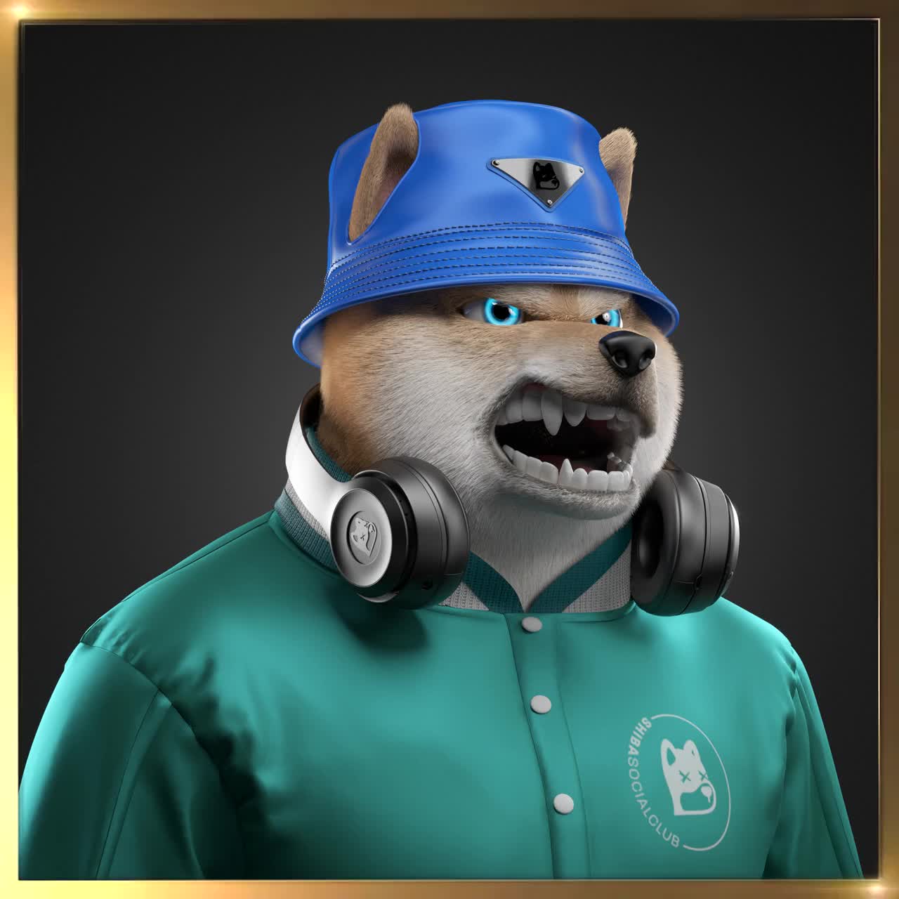 Shiba #1078