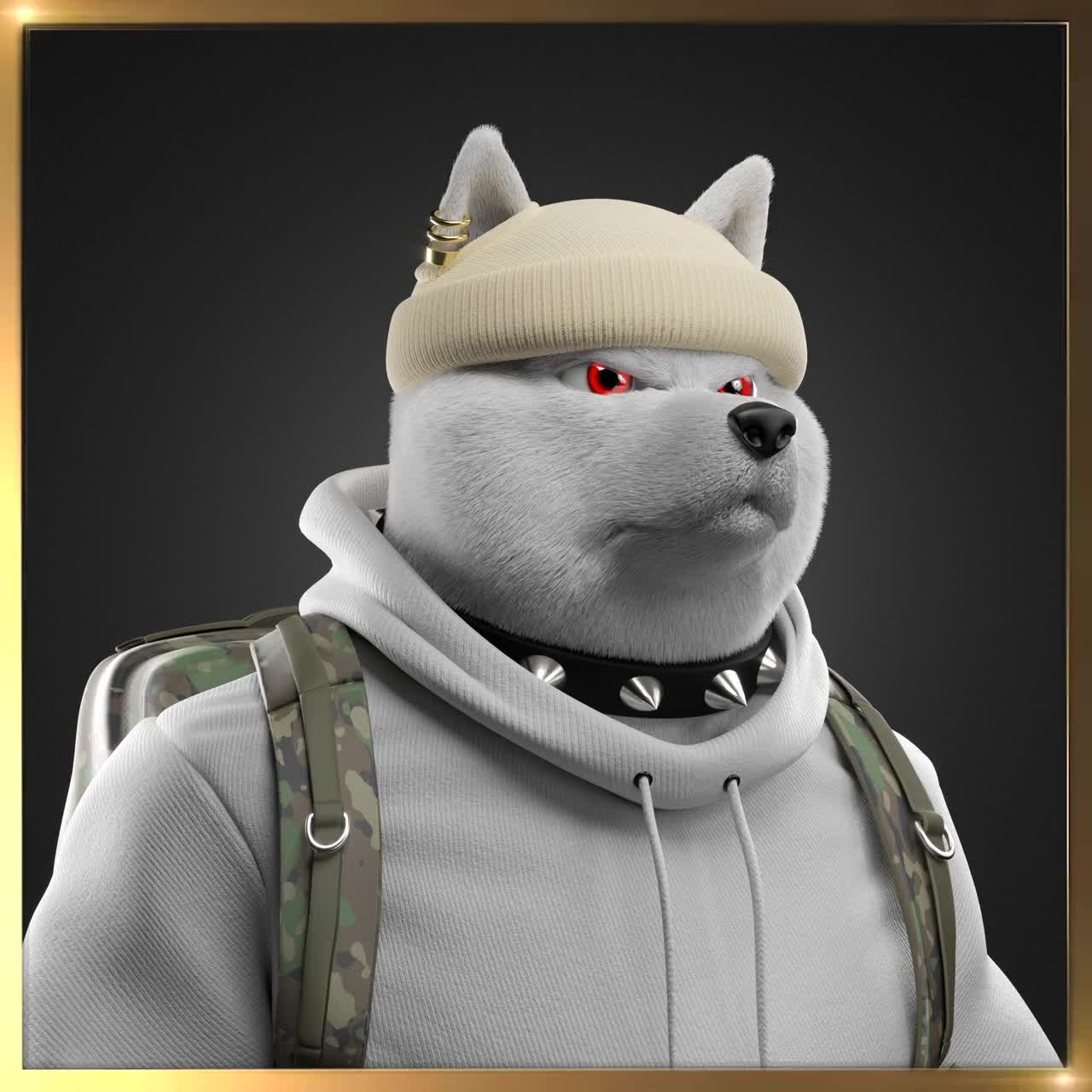 Shiba #1095