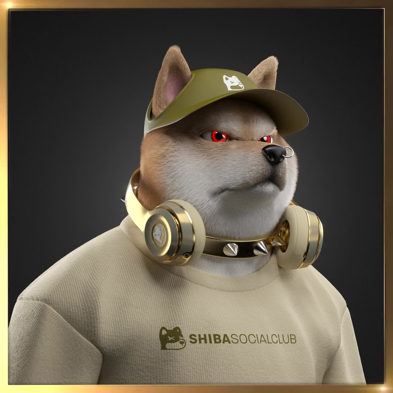 Shiba #1113