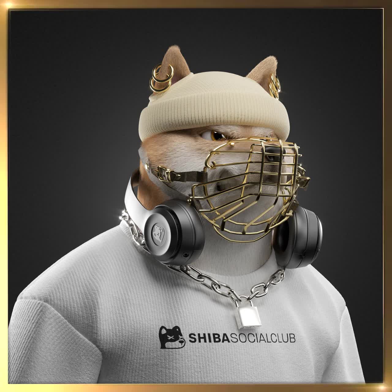 Shiba #1127