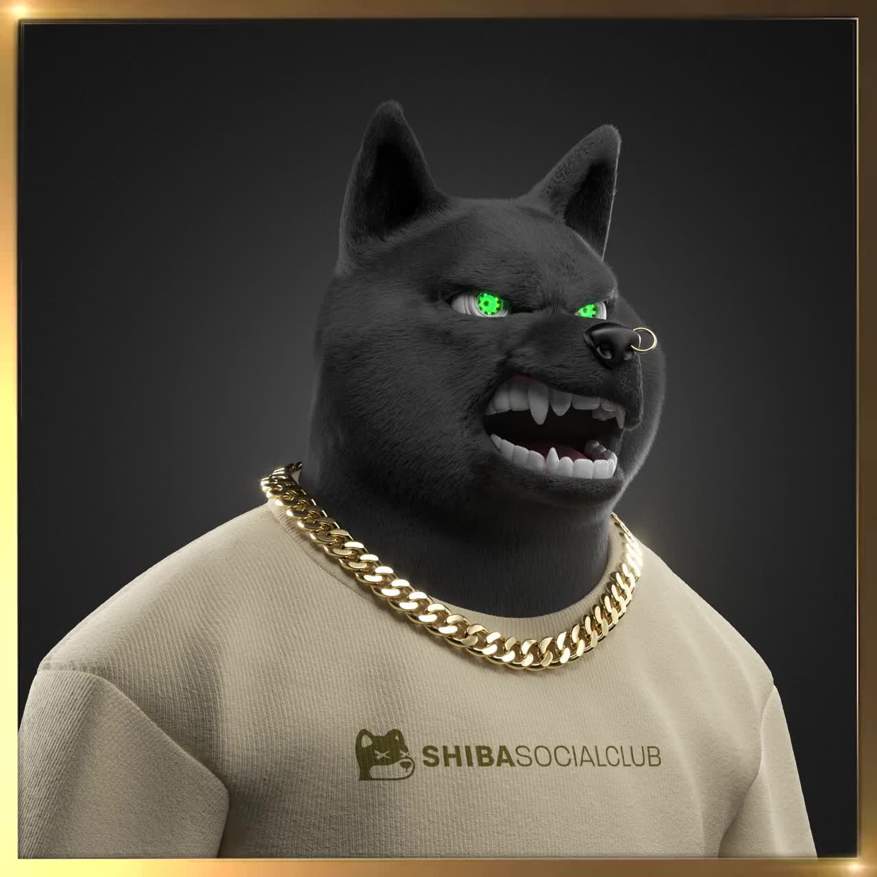 Shiba #1143