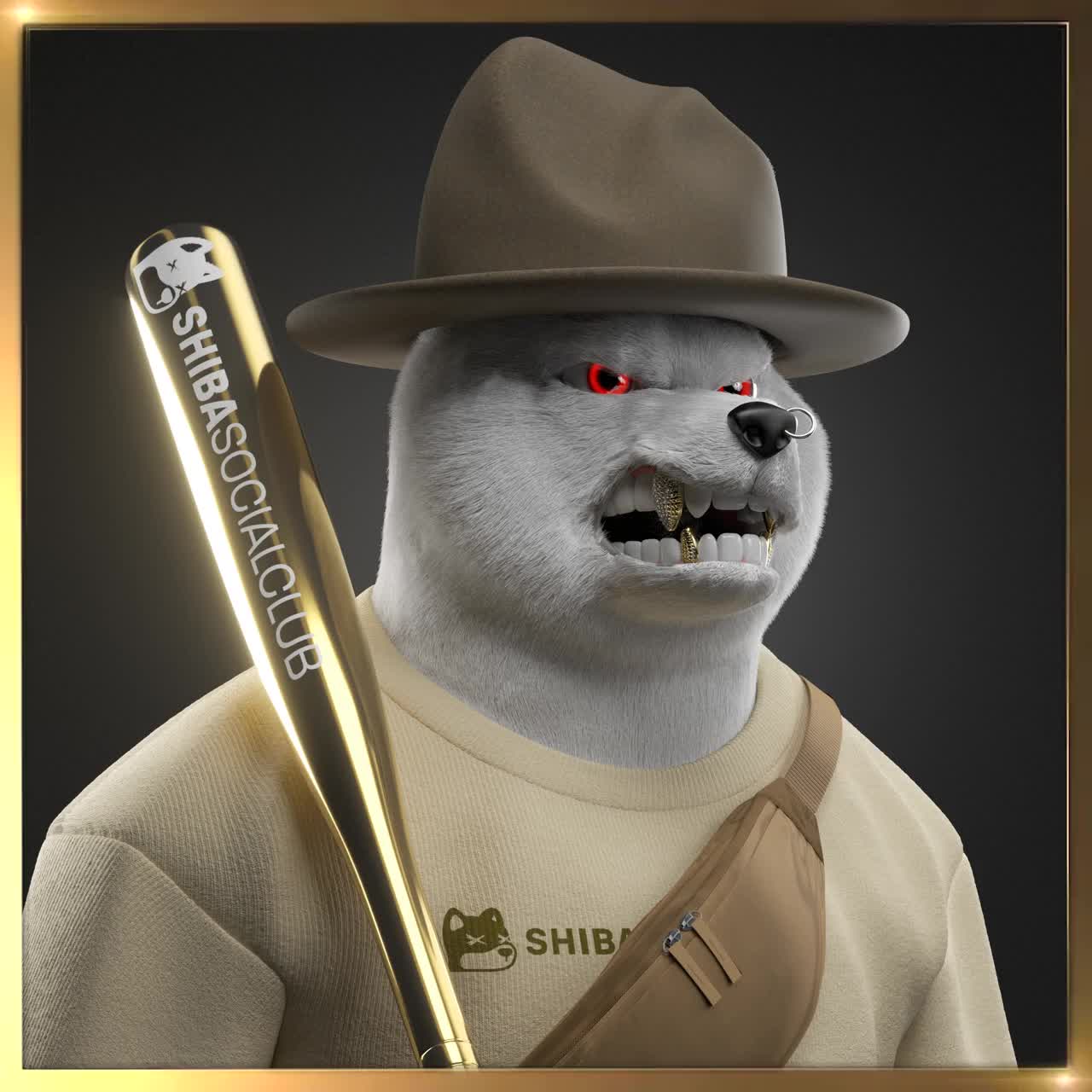 Shiba #1160