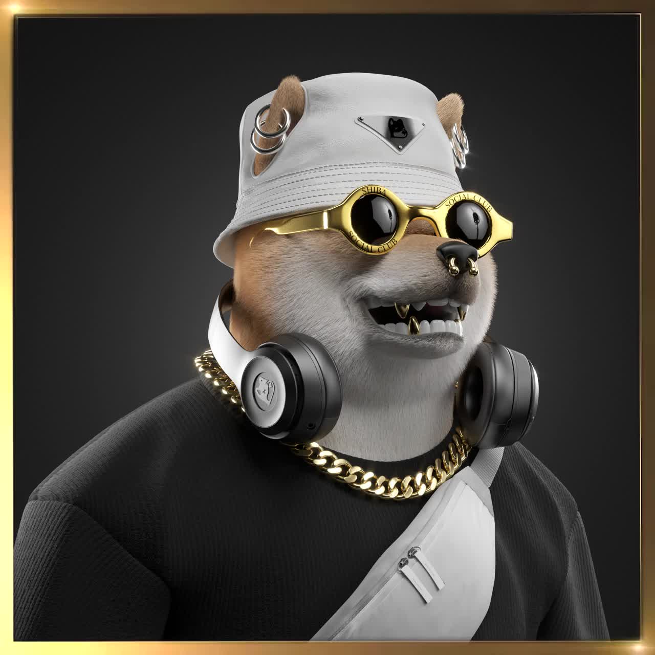 Shiba #1186
