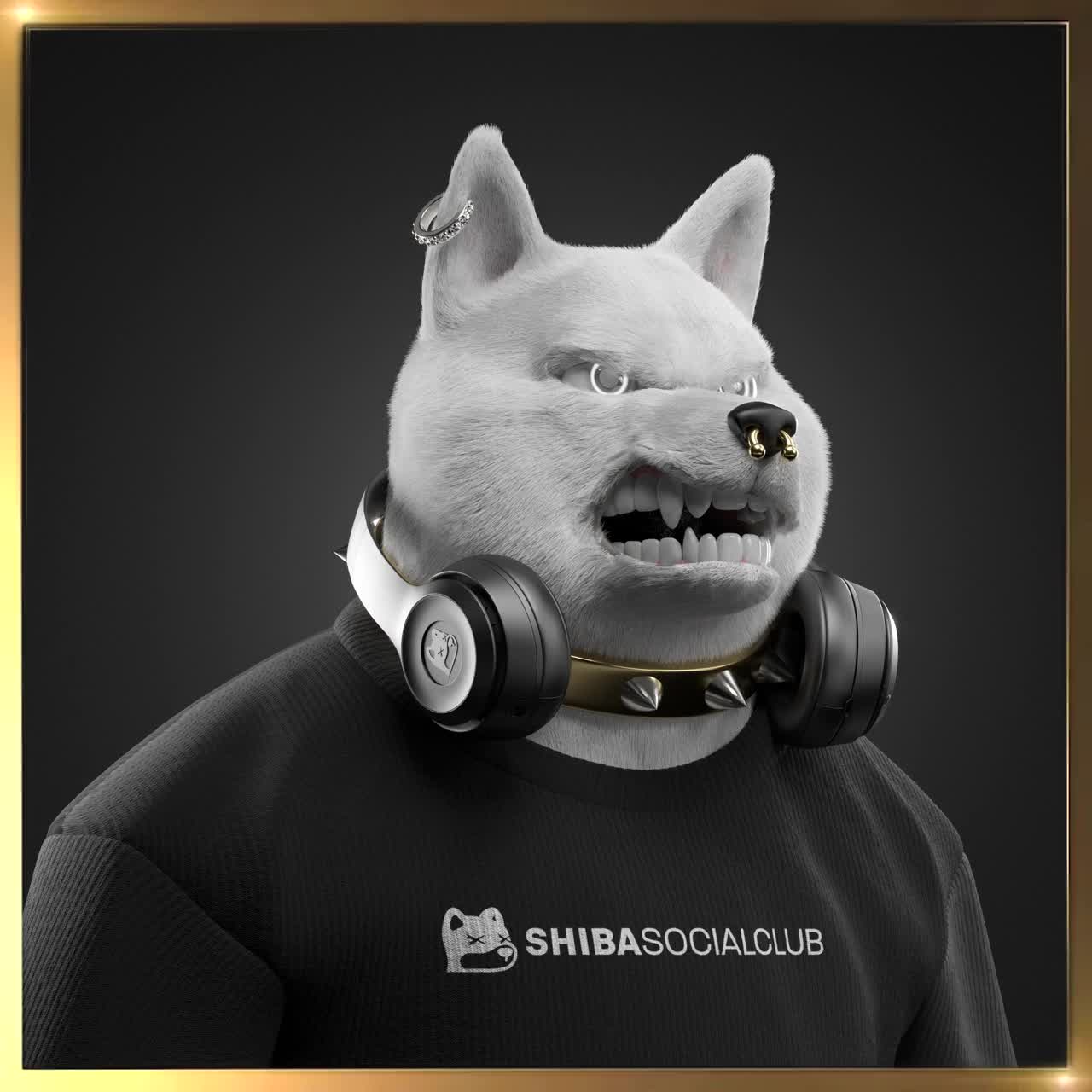 Shiba #1212
