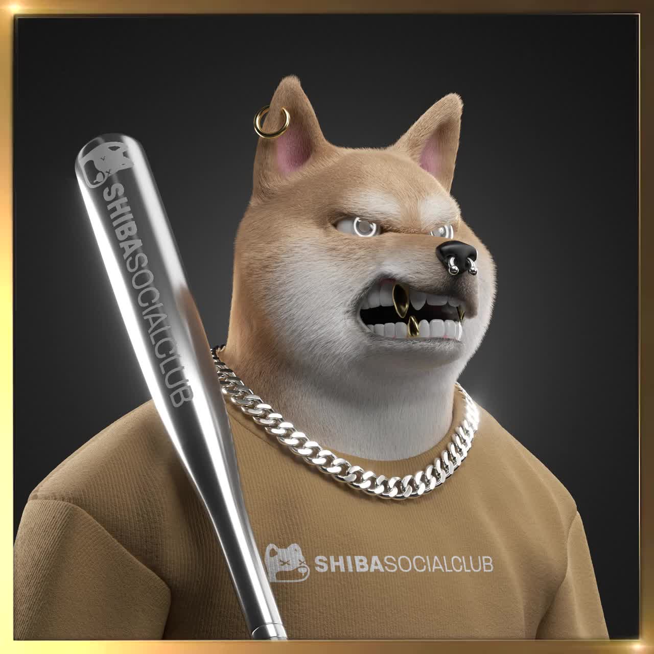 Shiba #1244