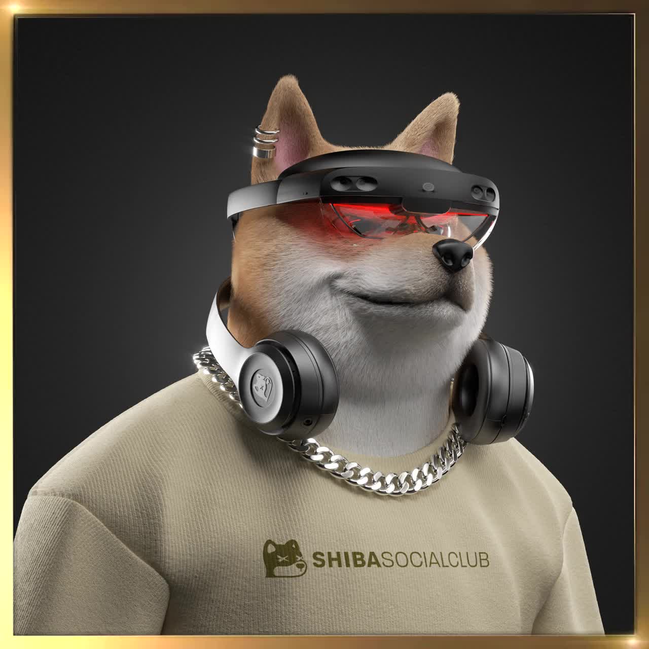 Shiba #1254